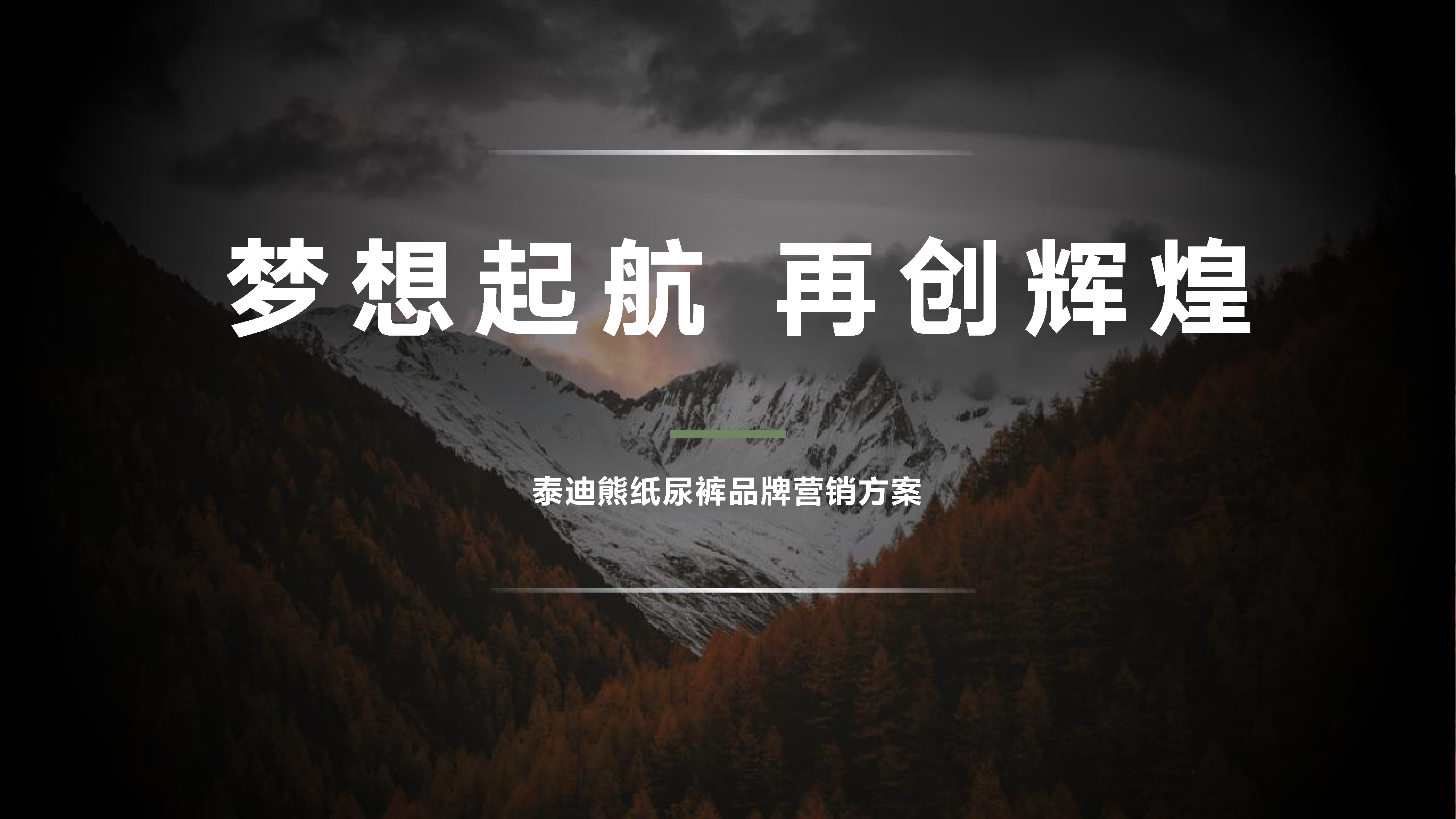 2020泰迪熊纸尿裤品牌营销方案【母婴】