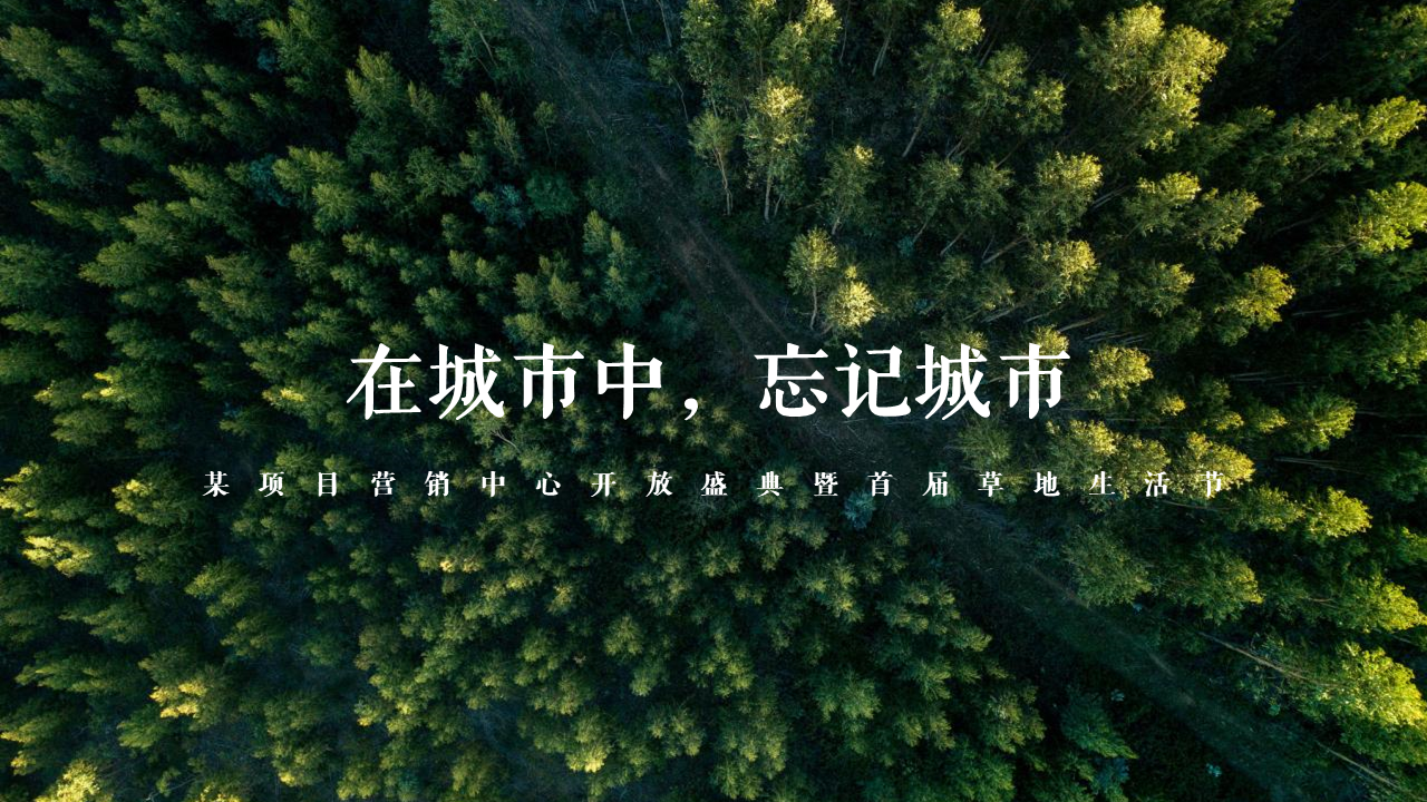 2021某项目营销中心开放盛典暨首届草地生活节 “在城市中 忘记城市”主题活动策划方案【地产】