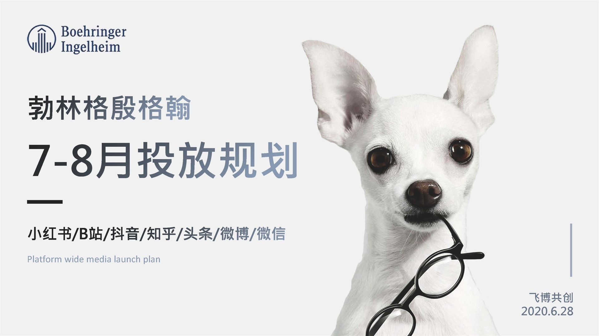 2020勃林格殷格翰宠物食品7-8月投放规划