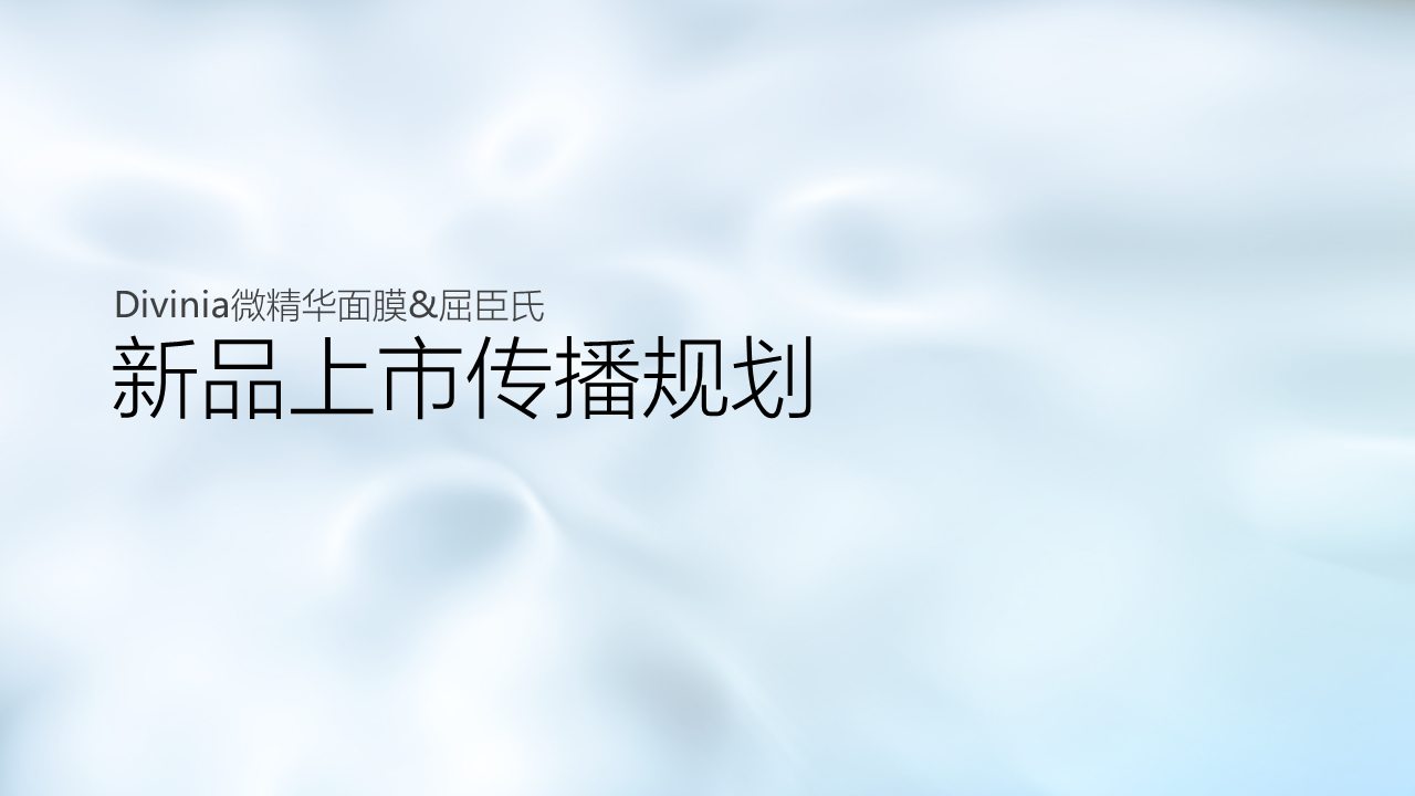 美妆品牌新品上市传播规划案