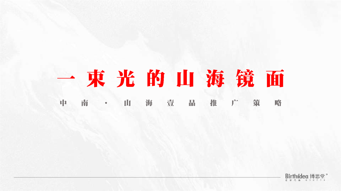 2022中南山海壹品营销推广策略方案