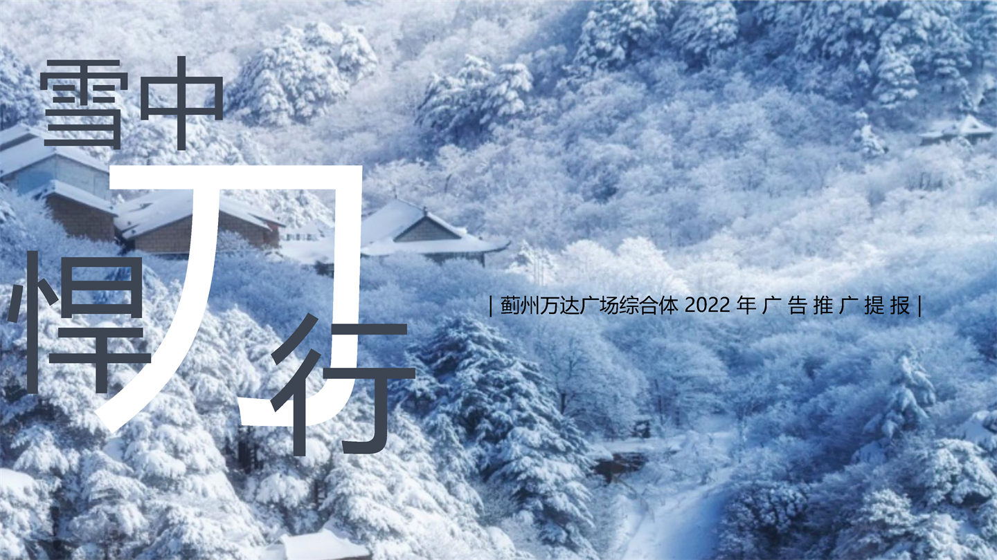 2022蓟州万达广场综合体年度推广方案