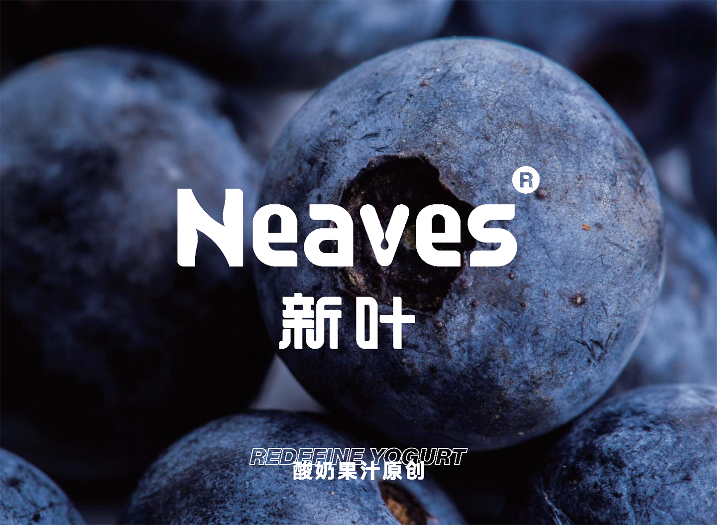 NEAVES新叶饮品品牌拓展资料
