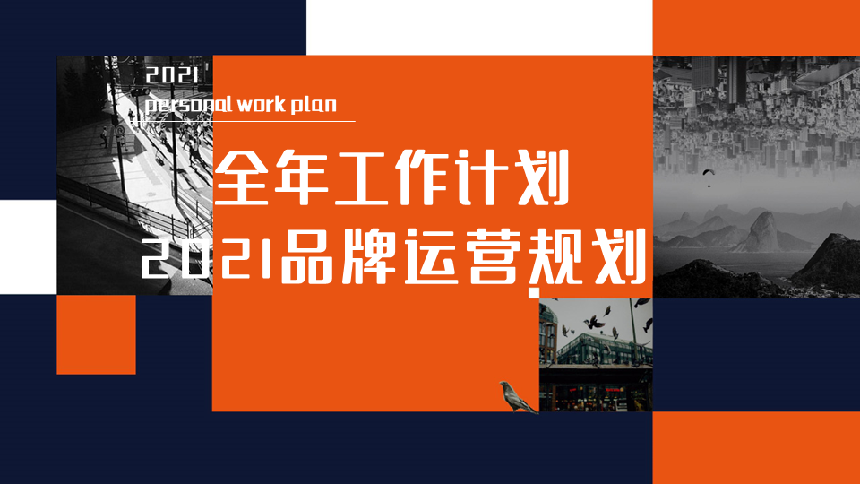 婴儿食品市场部全年规划方案