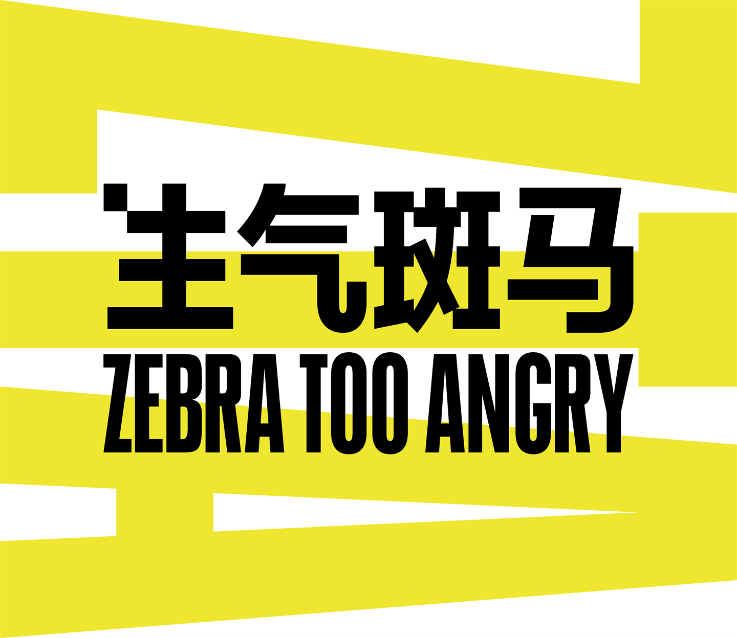 生气斑马洗发液ZTA 品牌介绍