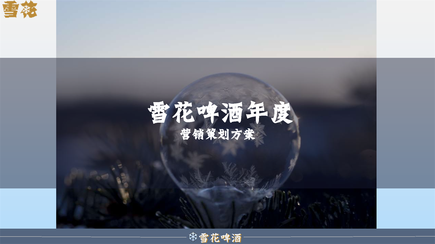 雪花啤酒年度营销策划方案
