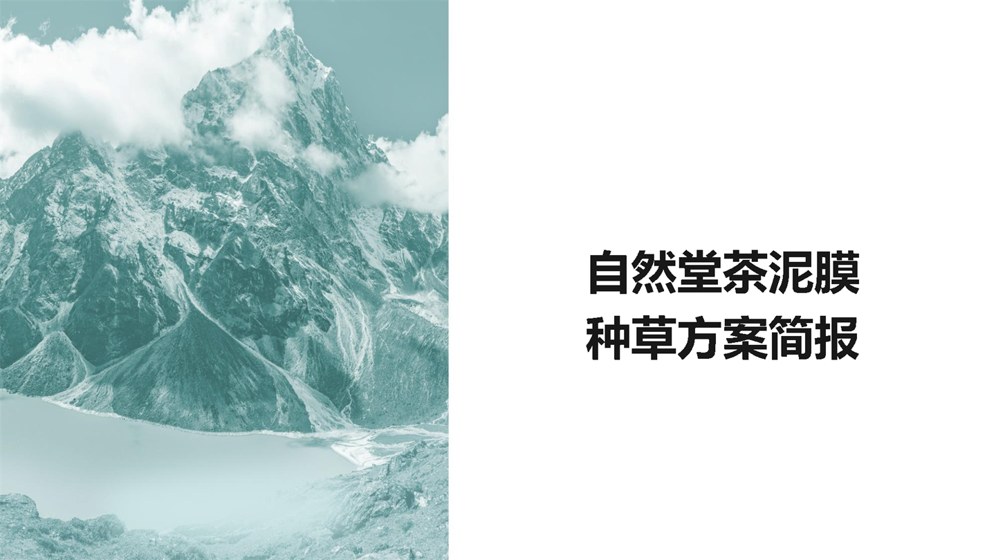 自然堂茶泥膜种草方案brief