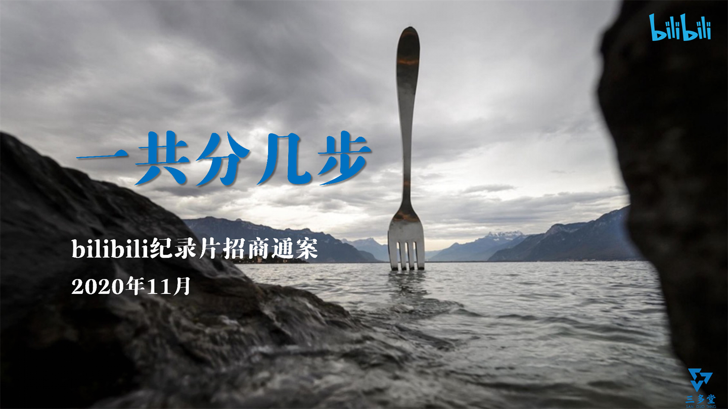 2020哔哩哔哩纪录片《一共分几步》项目招商方案