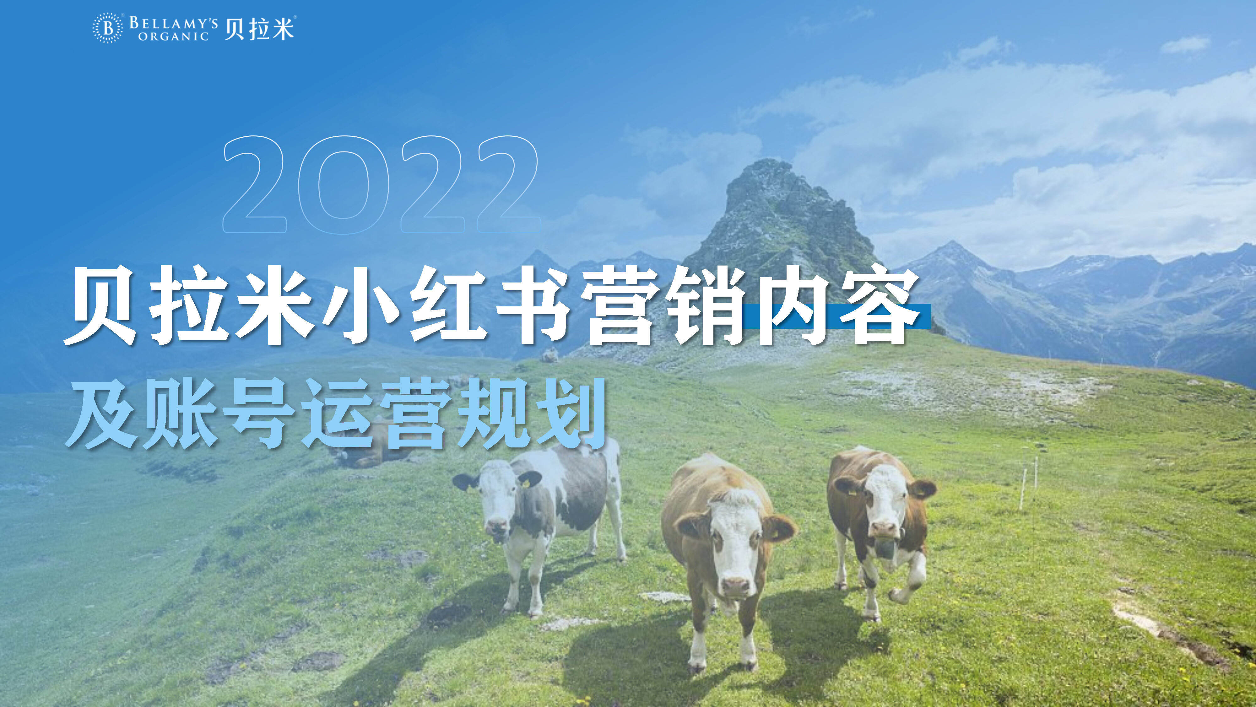 2022跨境奶粉品牌小红书营销内容年度规划方案
