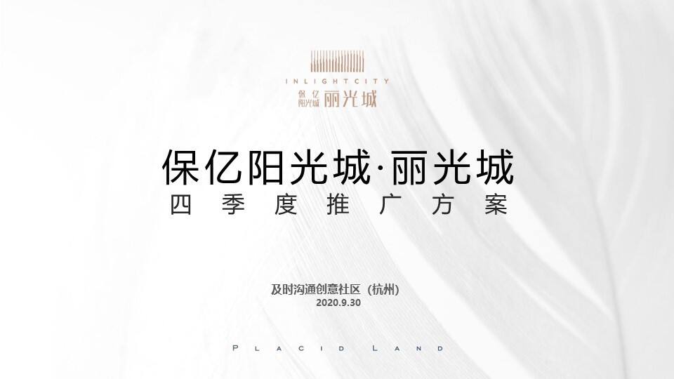 2020保亿阳光城丽光城四季度推广方案