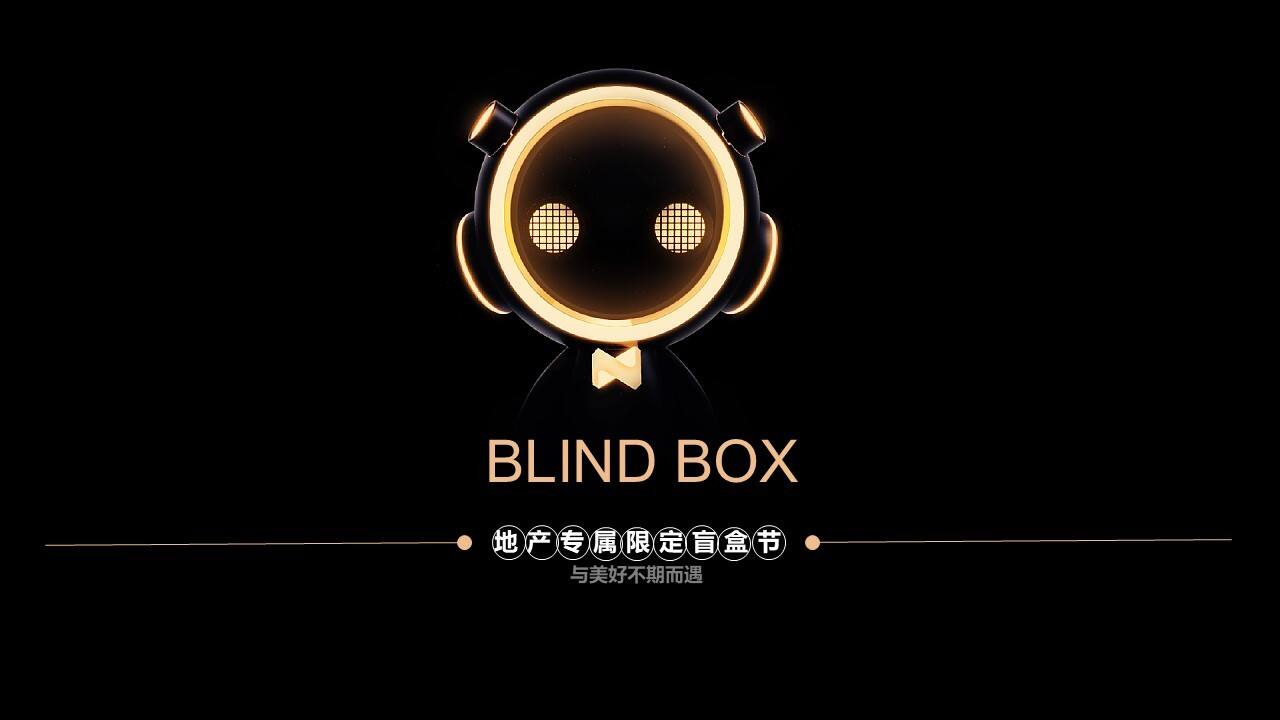 2021地产项目专属限定盲盒节活动策划方案【盲盒活动】