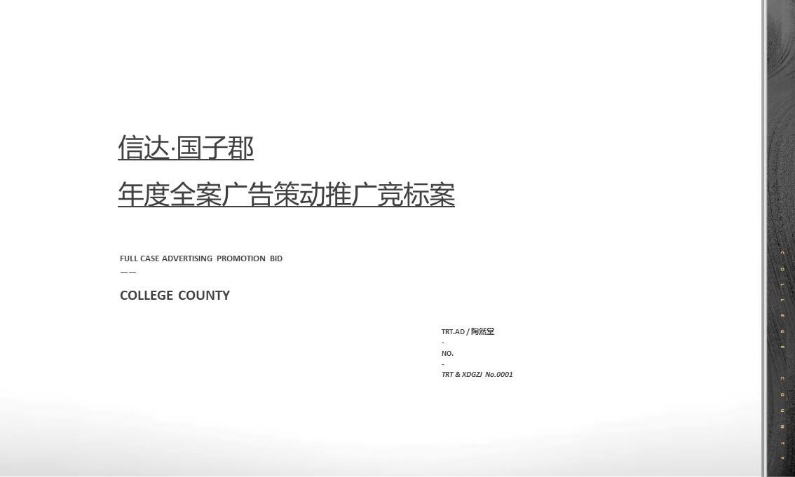 地产项目广告策动推广年度全案