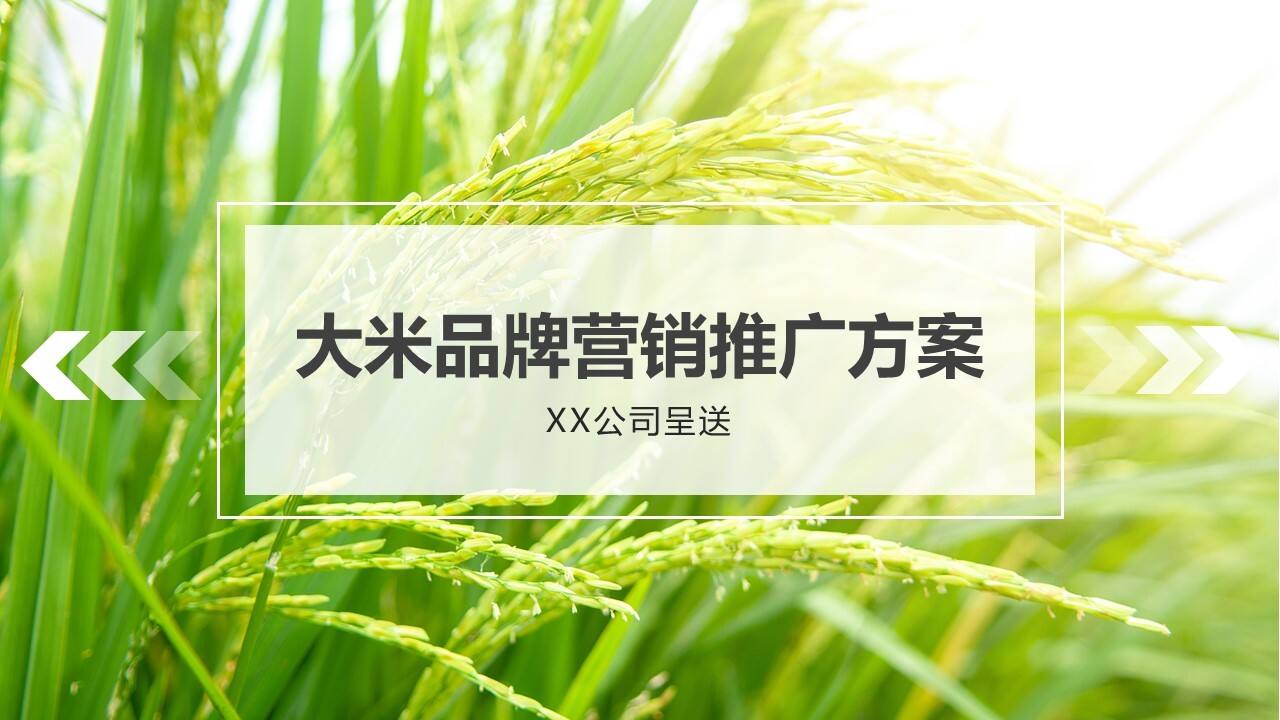 农业区域公用品牌大米品牌营销推广方案