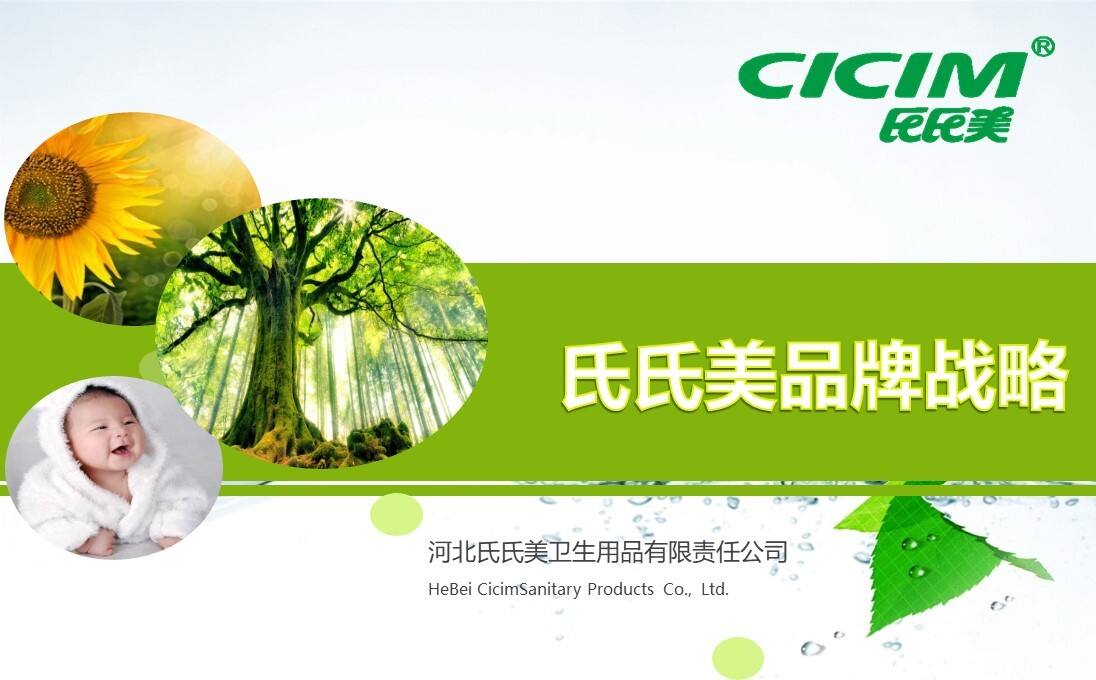 品牌体系-氏氏美-品牌战略方案