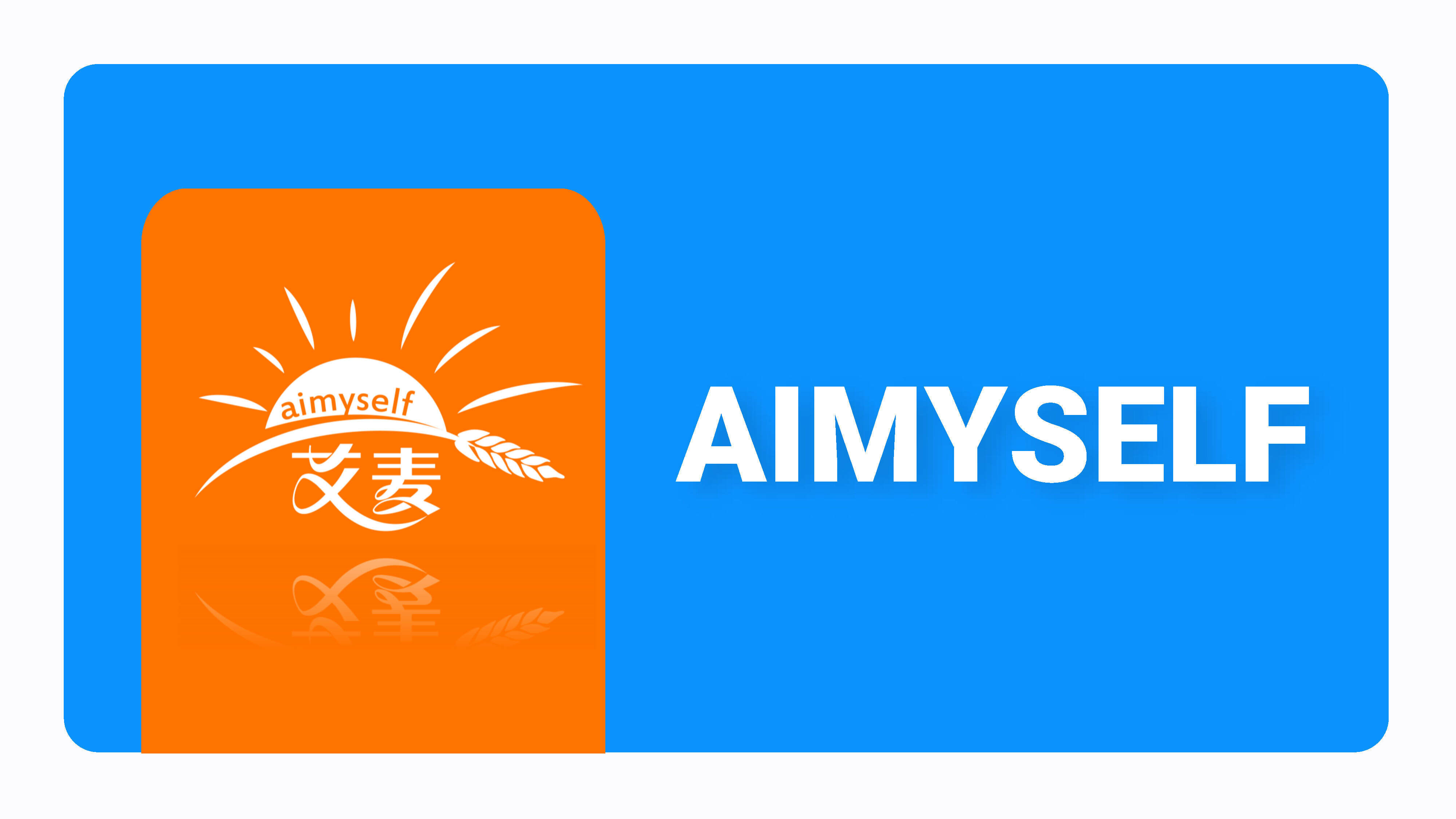 2022代餐燕麦品牌策划全案