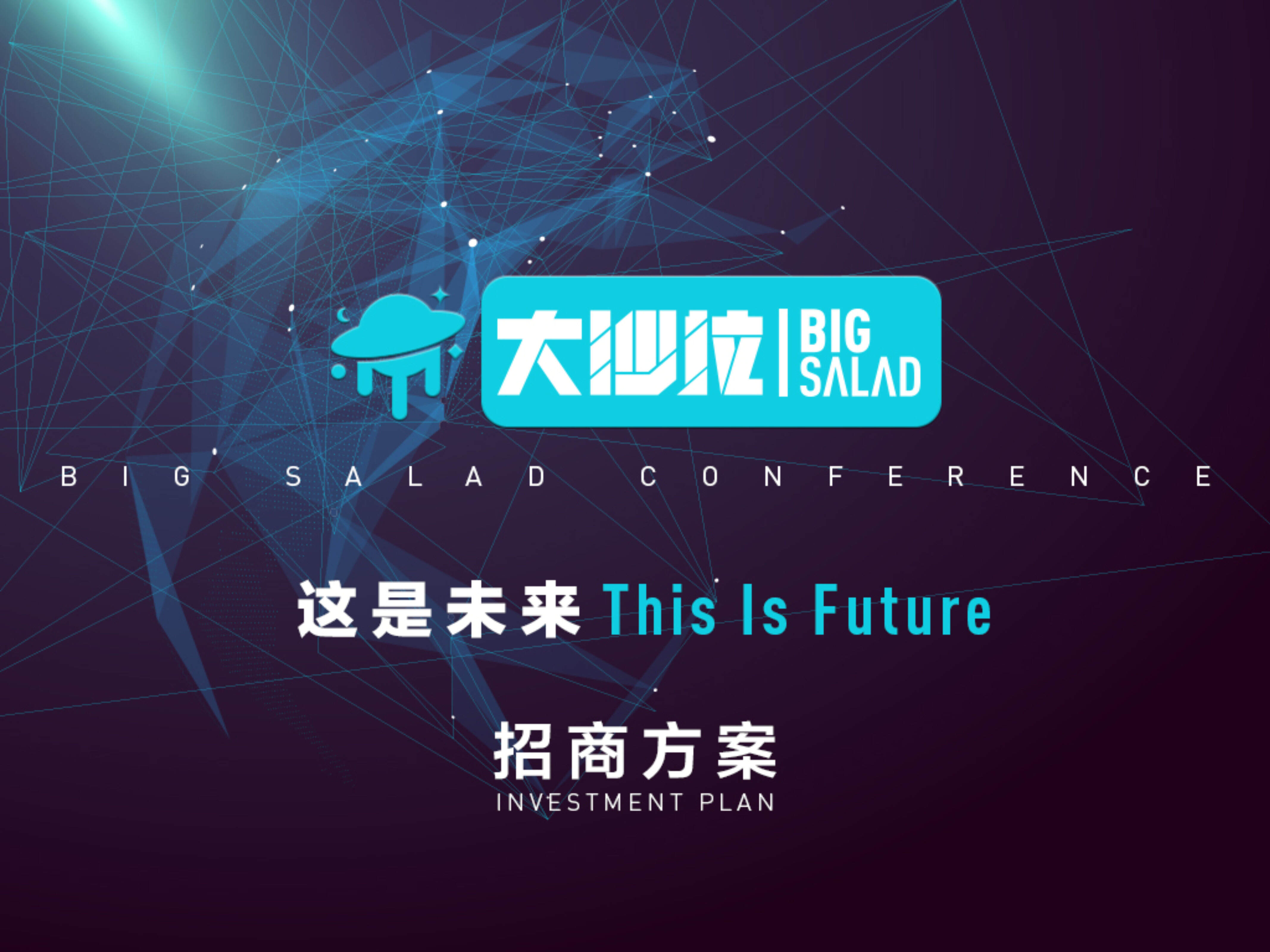 大沙拉招商方案