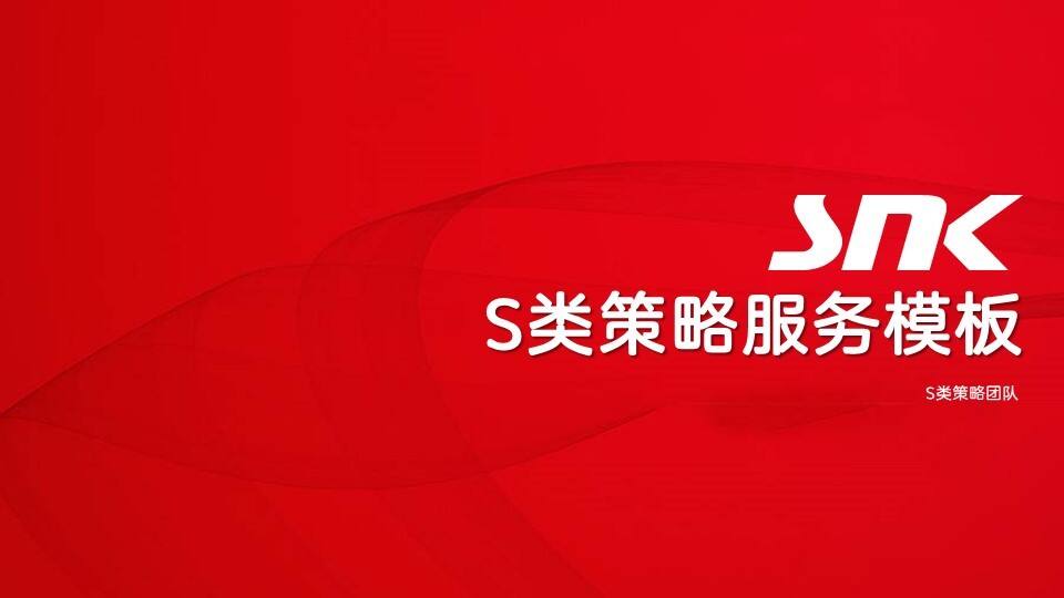 2023策略服务模板