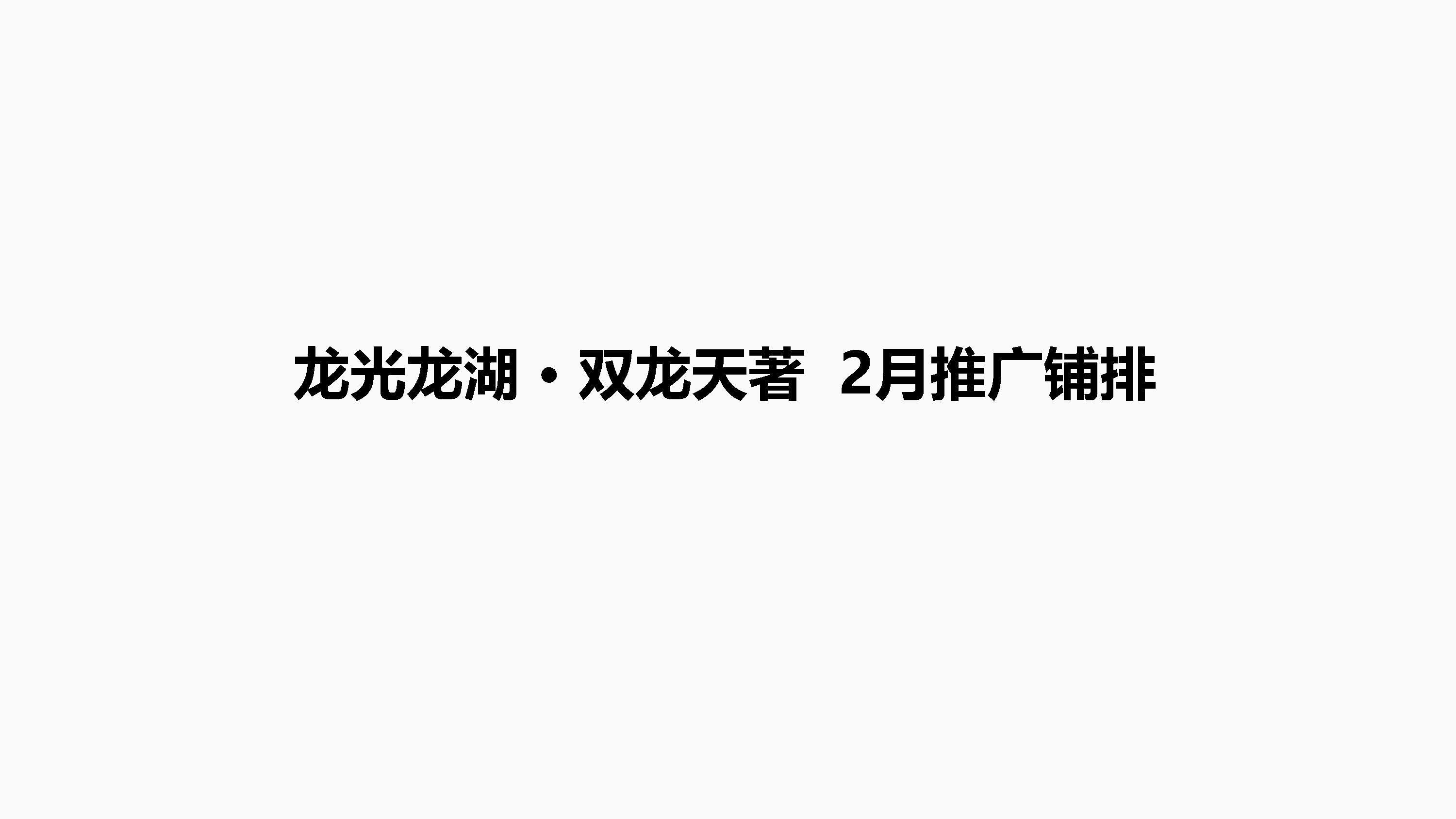 2022双龙天著推广方案
