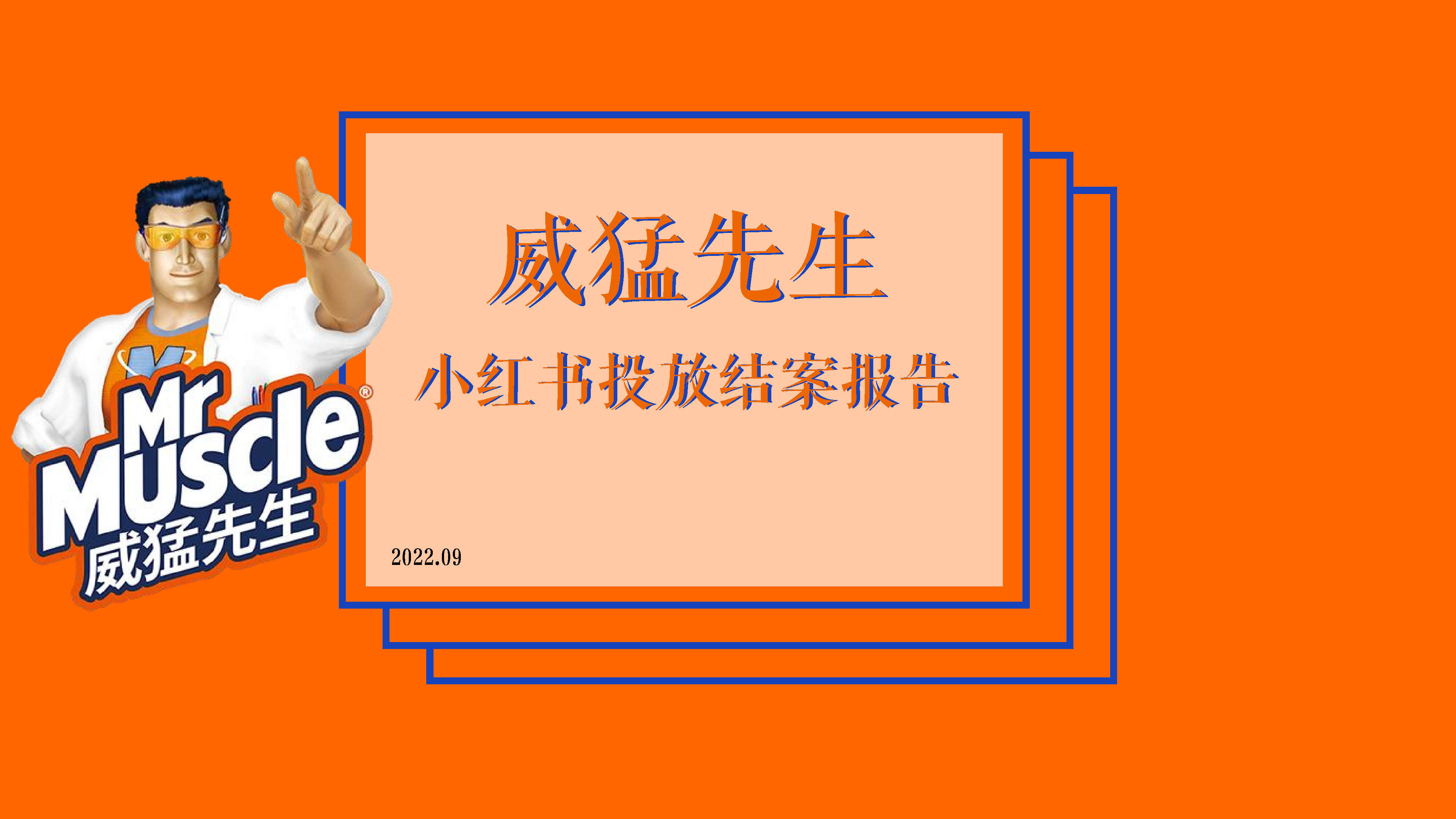 2022威猛先生小红书投放结案报告