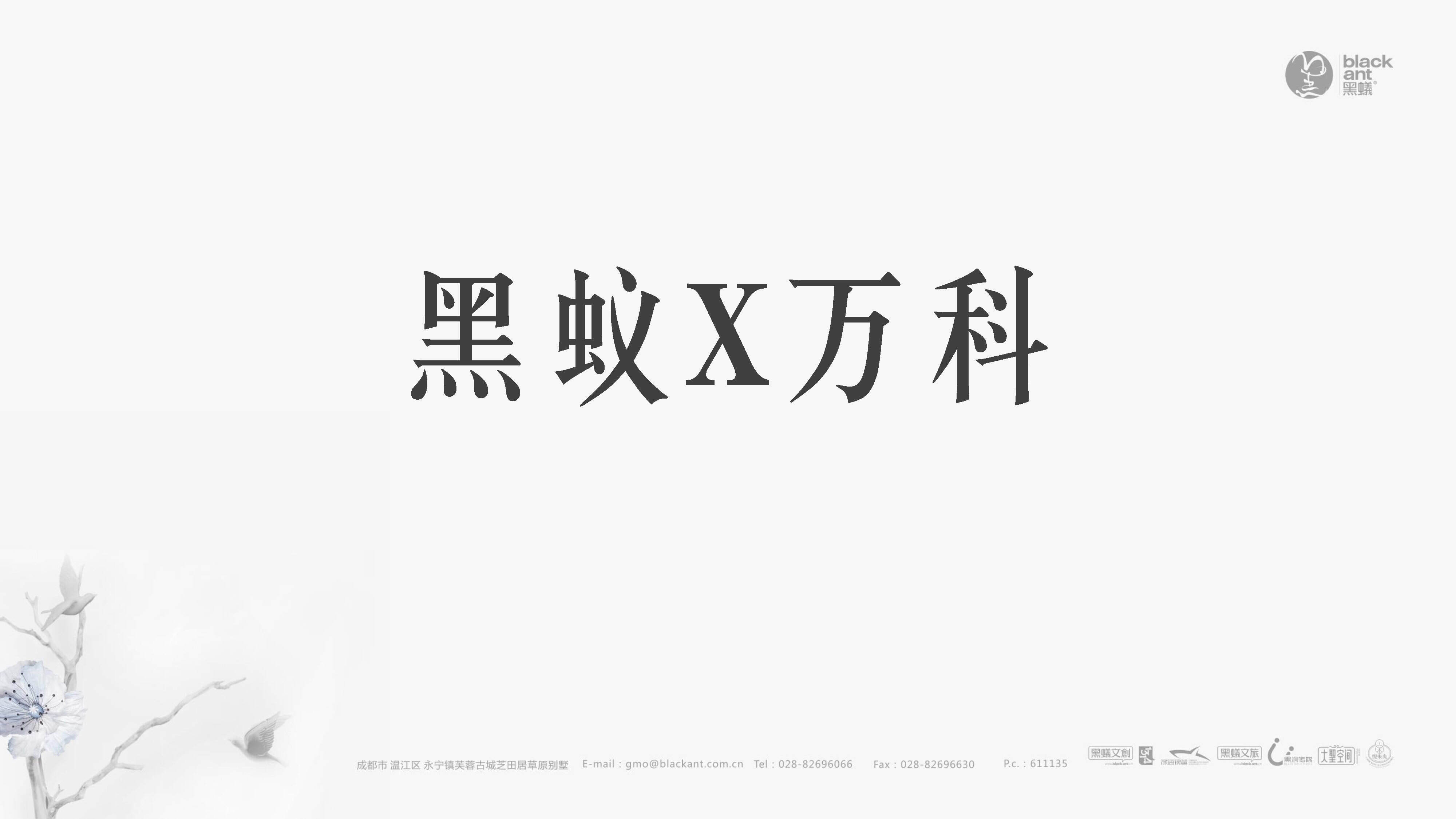 万科龙潭项目推广提报-黑蚁文创