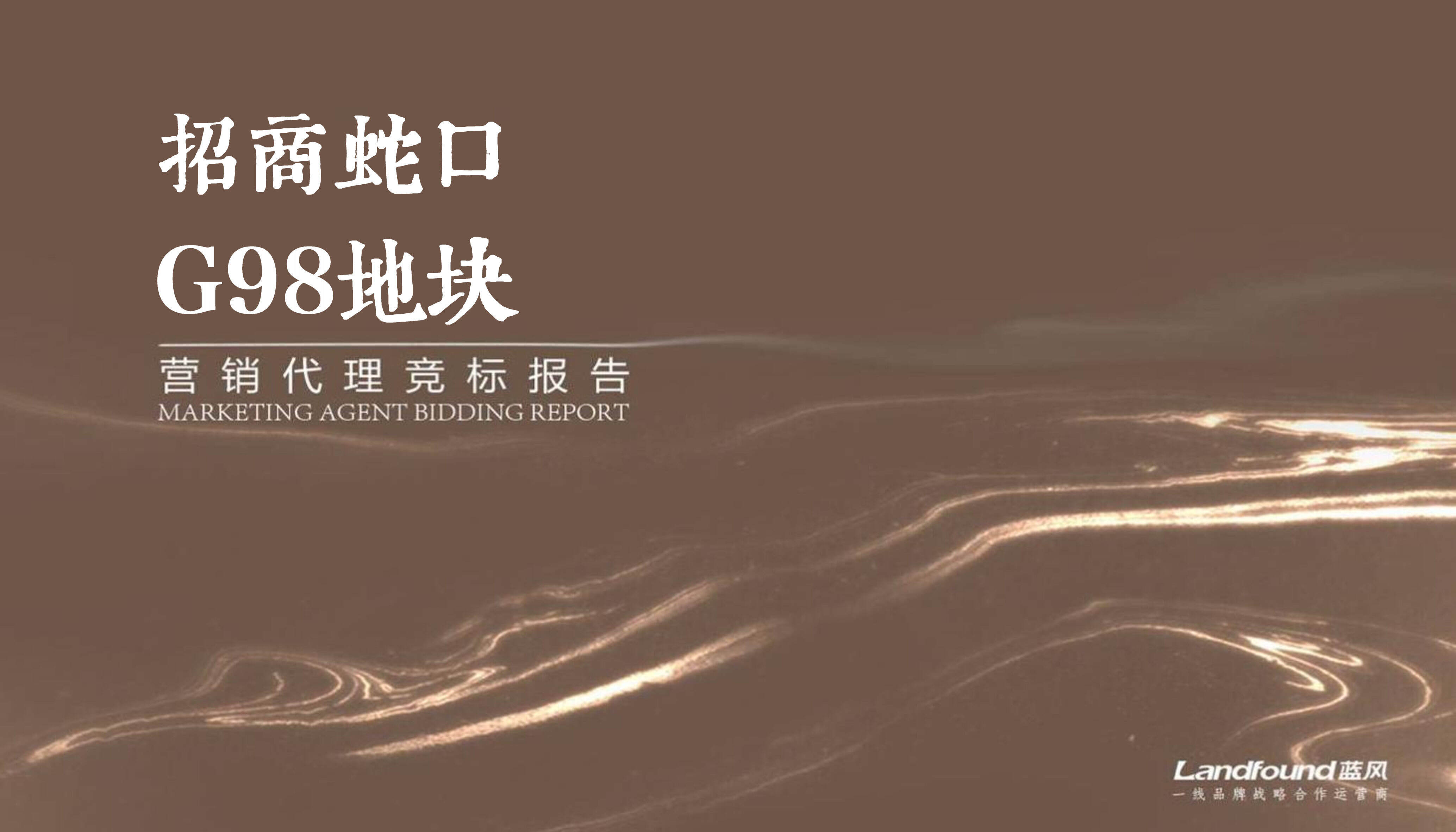 招商蛇口南京地王豪宅项目营销竞标提报