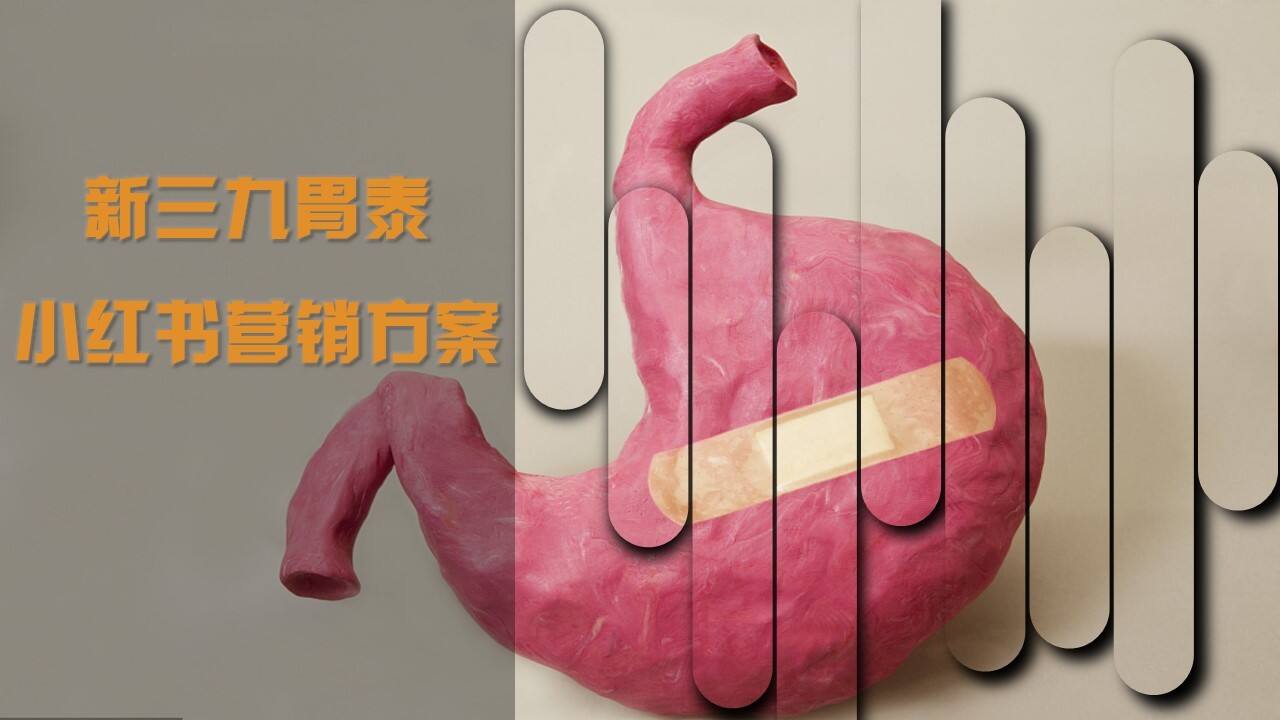 2022新三九胃泰小红书营销方案