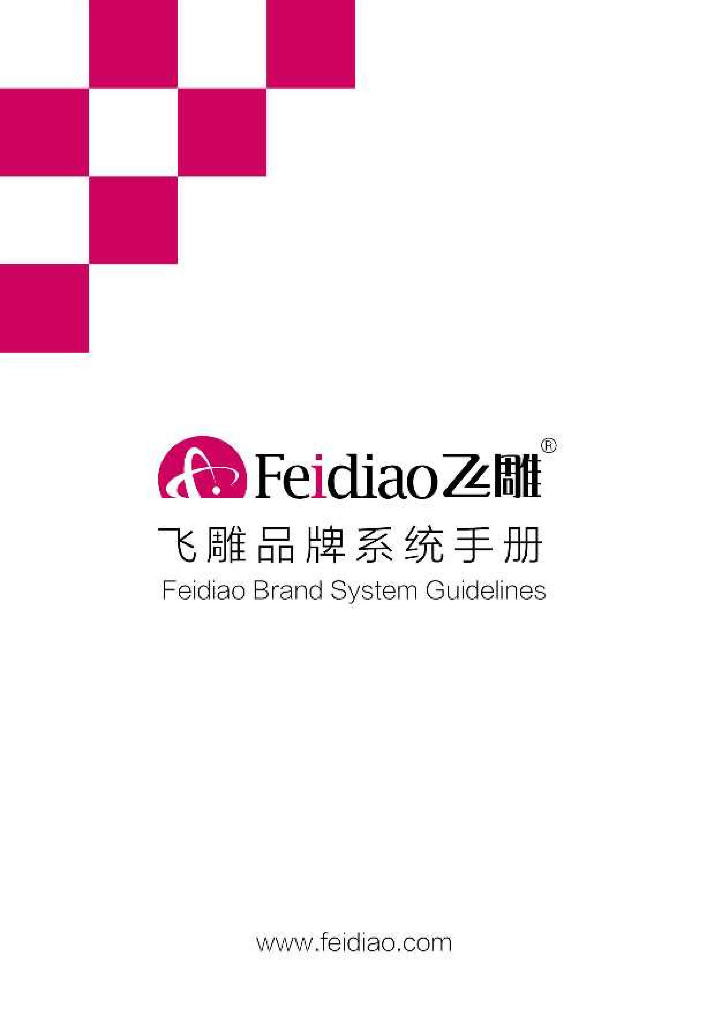 飞雕开关品牌手册