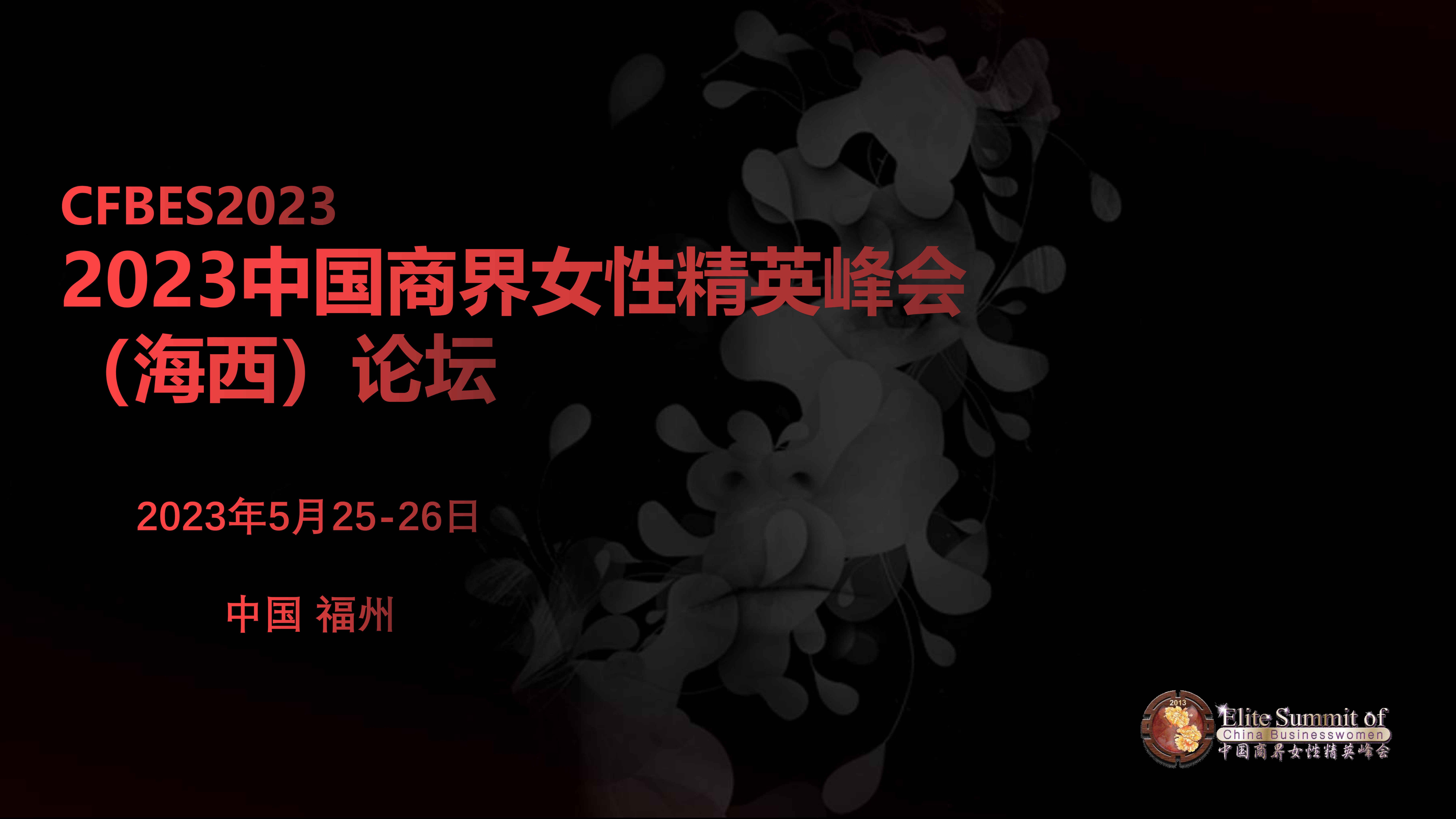 2023红颜福州峰会合作方案