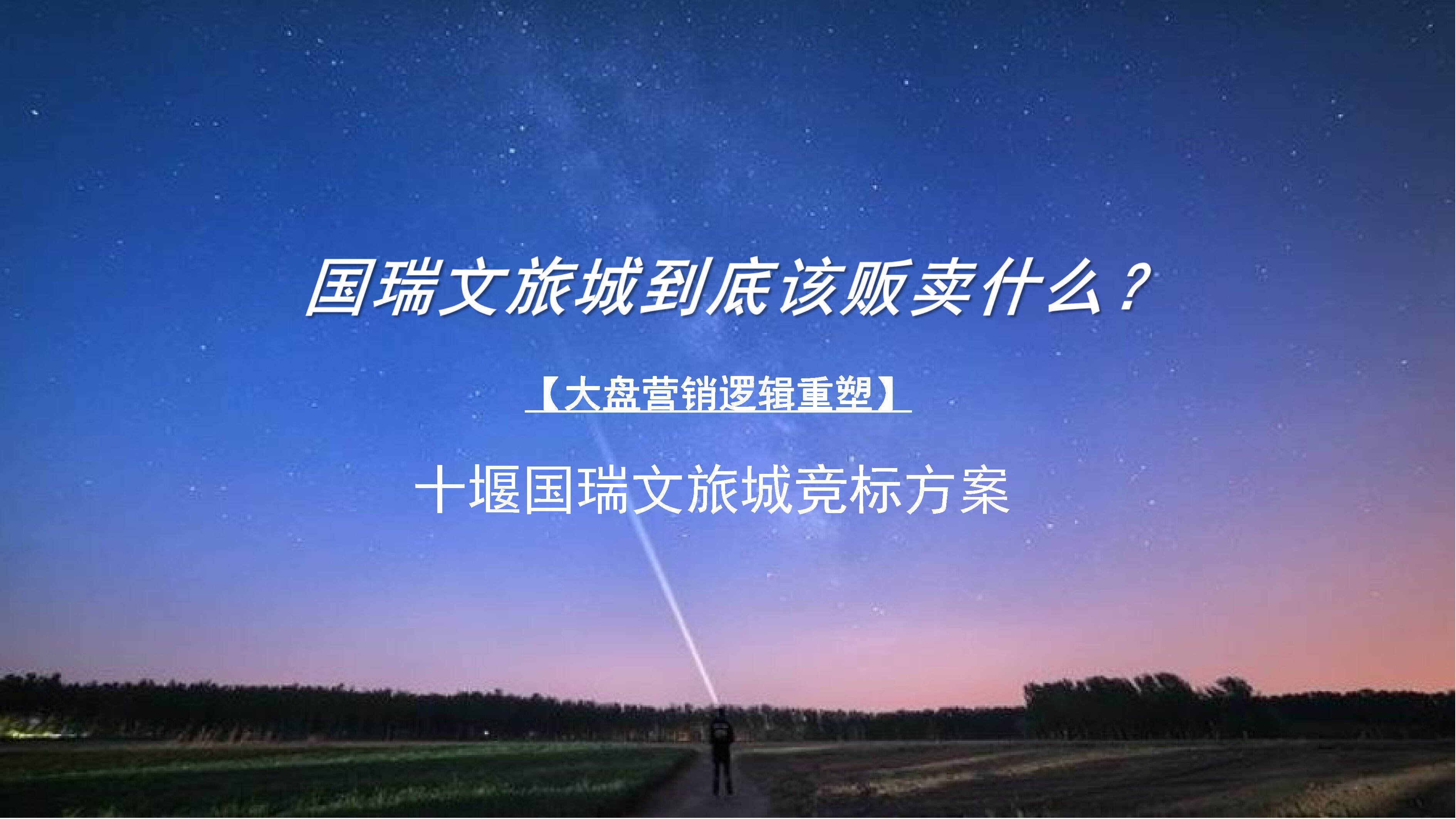 文旅城项目营销推广竞标方案