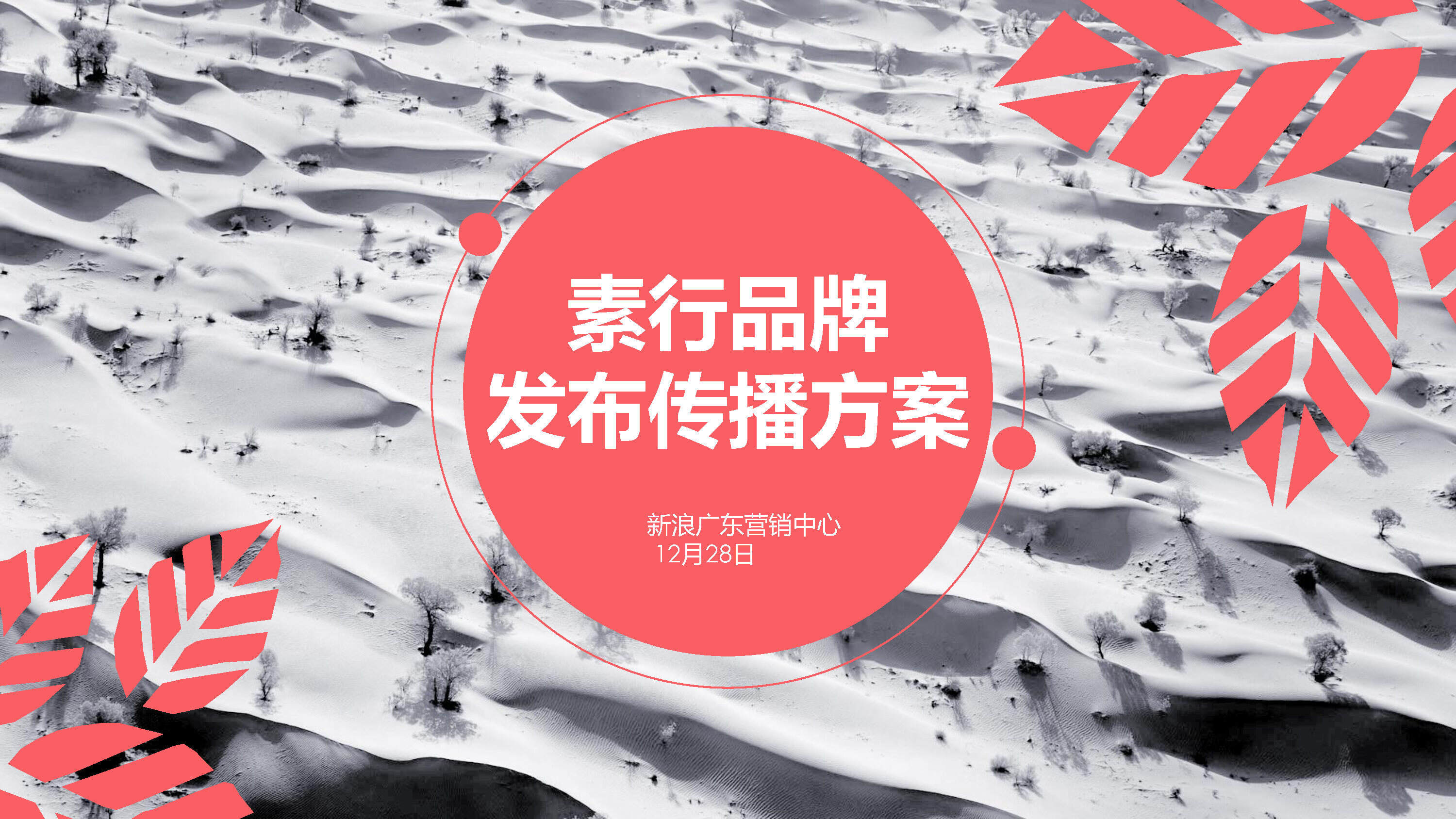 素行品牌发布传播方案