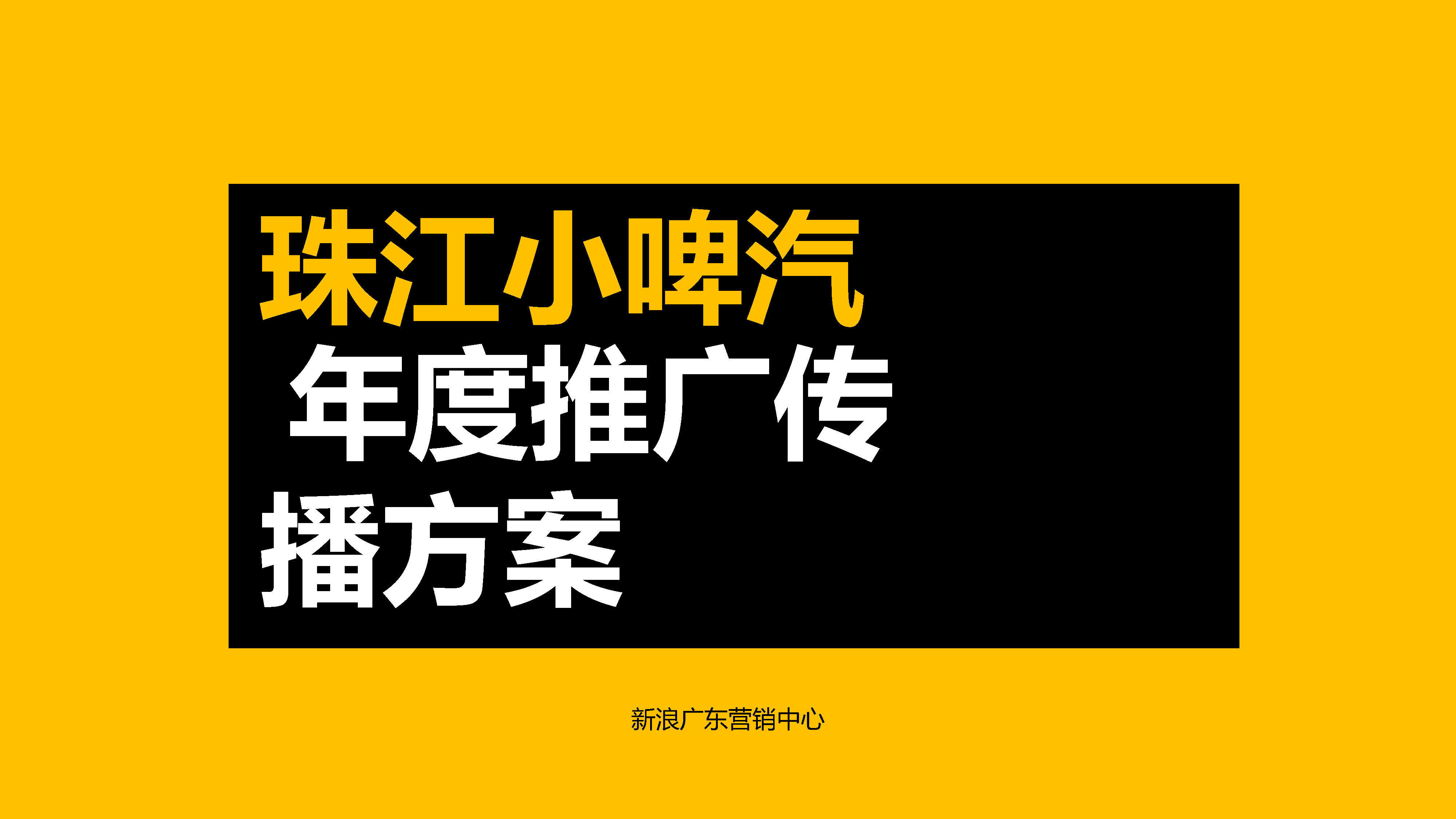 【新浪广东】珠江小啤汽年年度推广传播方案