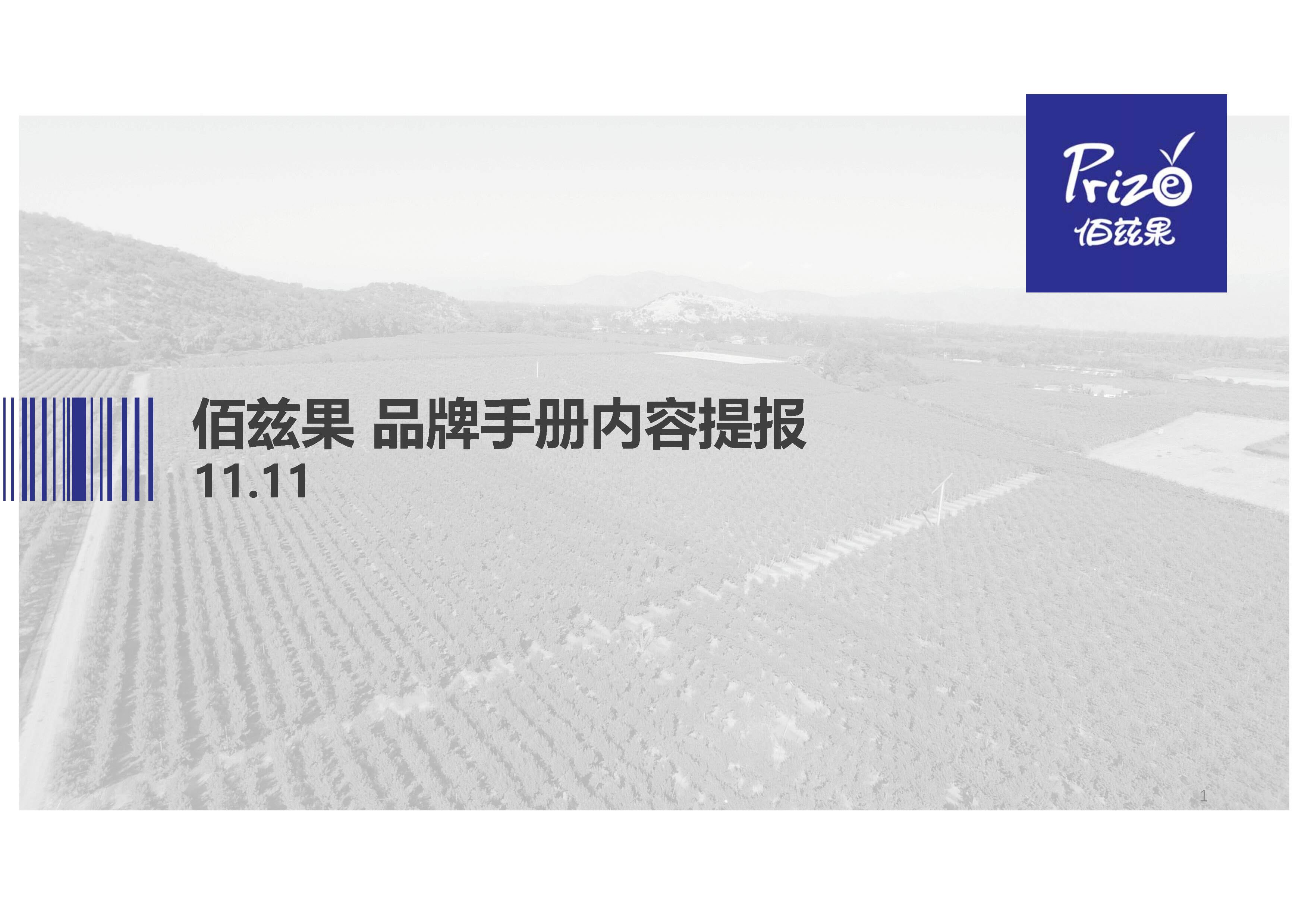 佰兹果水果品牌手册内容提报方案