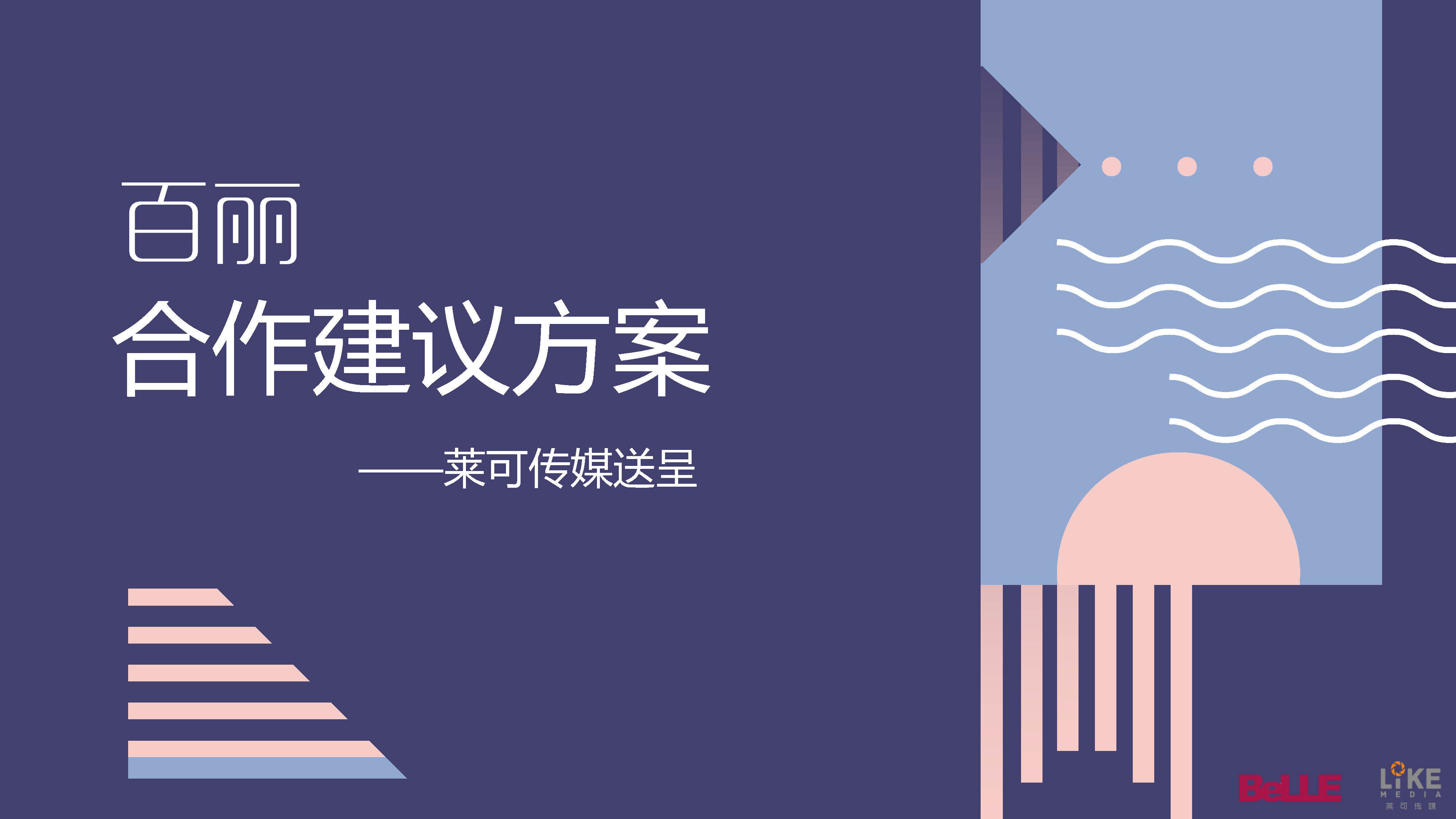 百丽合作建议方案