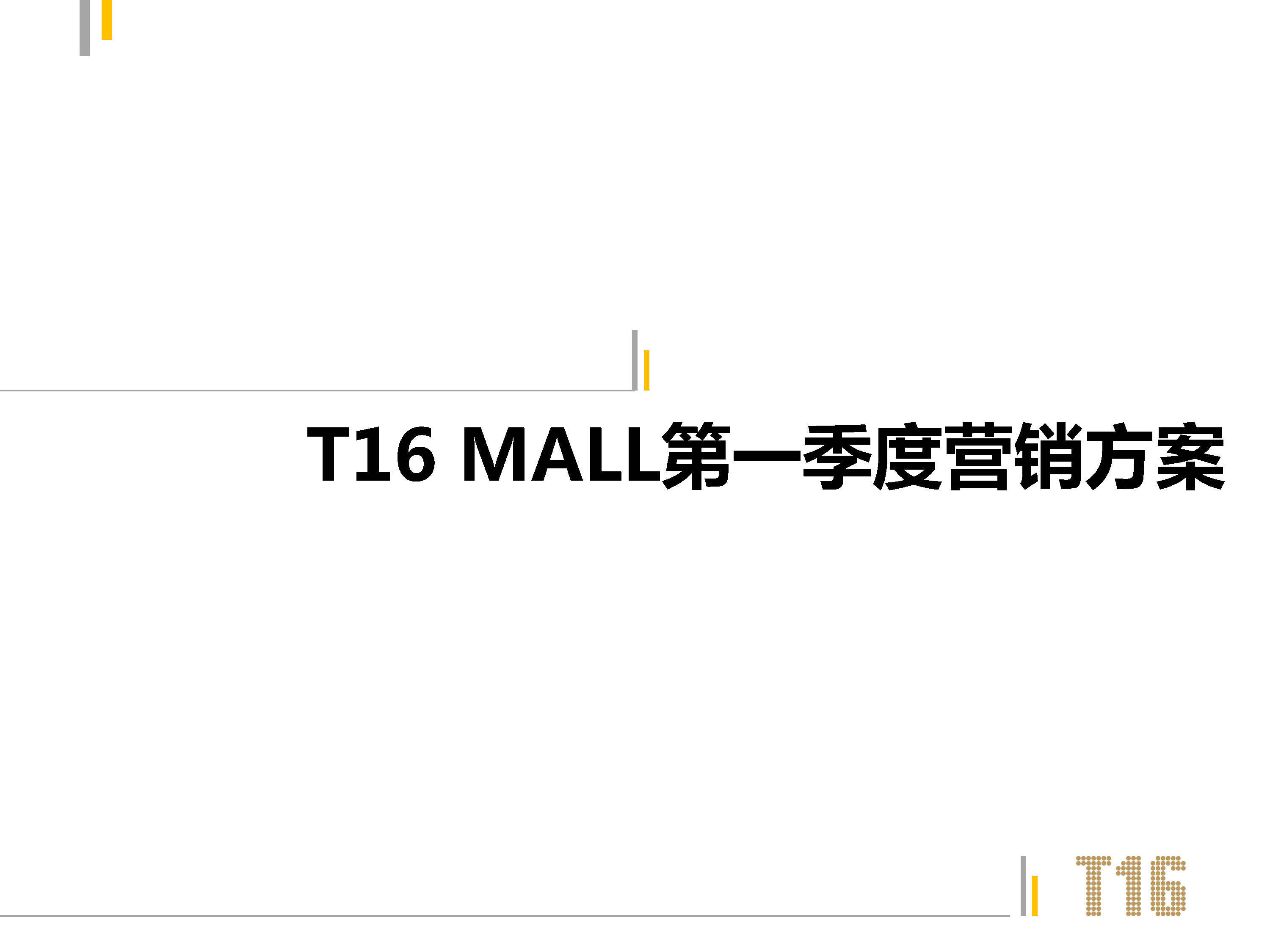 第一季度南昌T MALL营销方案