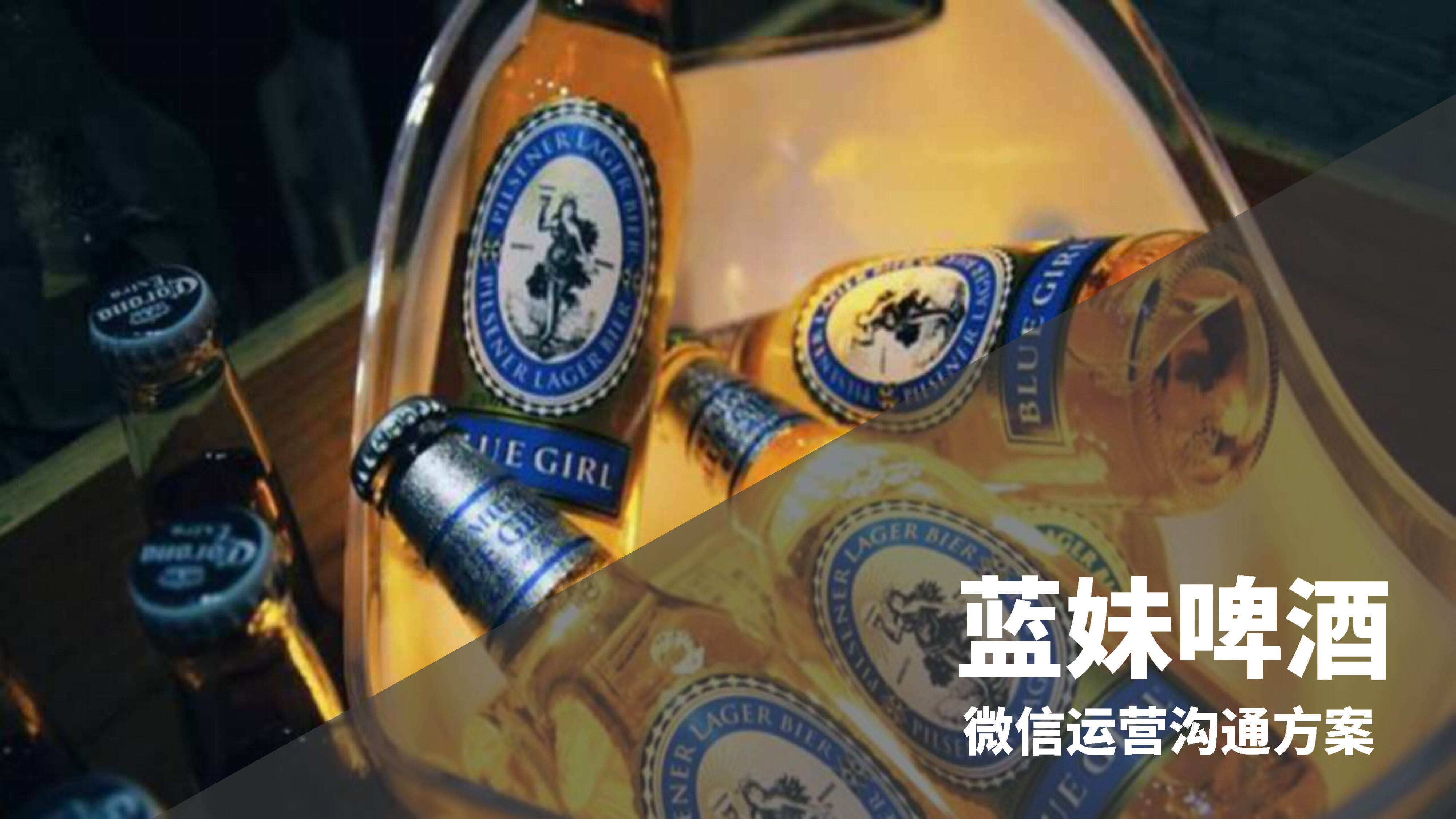 蓝妹微信传播策略方案&公司介绍