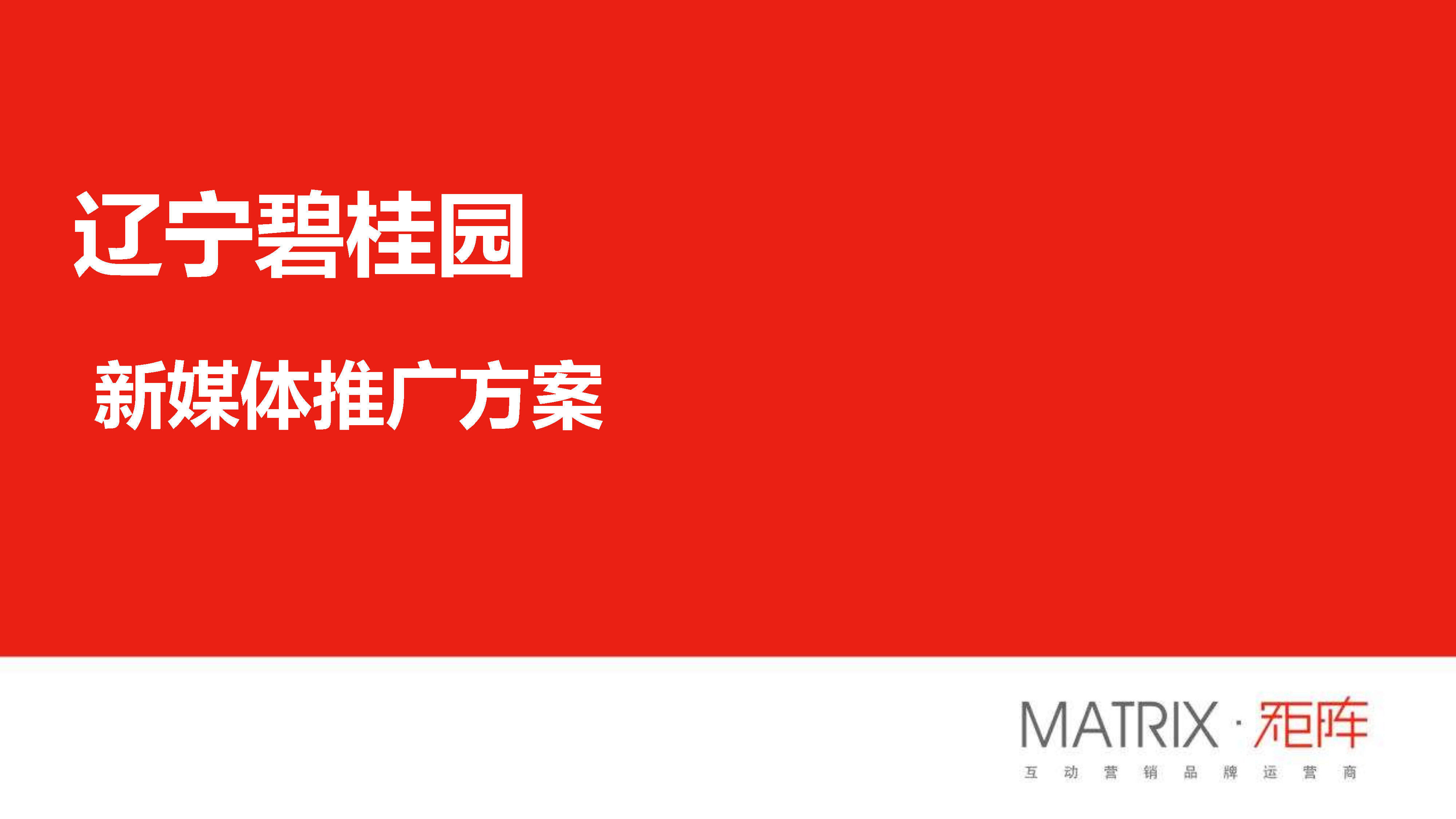 辽宁碧桂园年度新体推广炒作方案