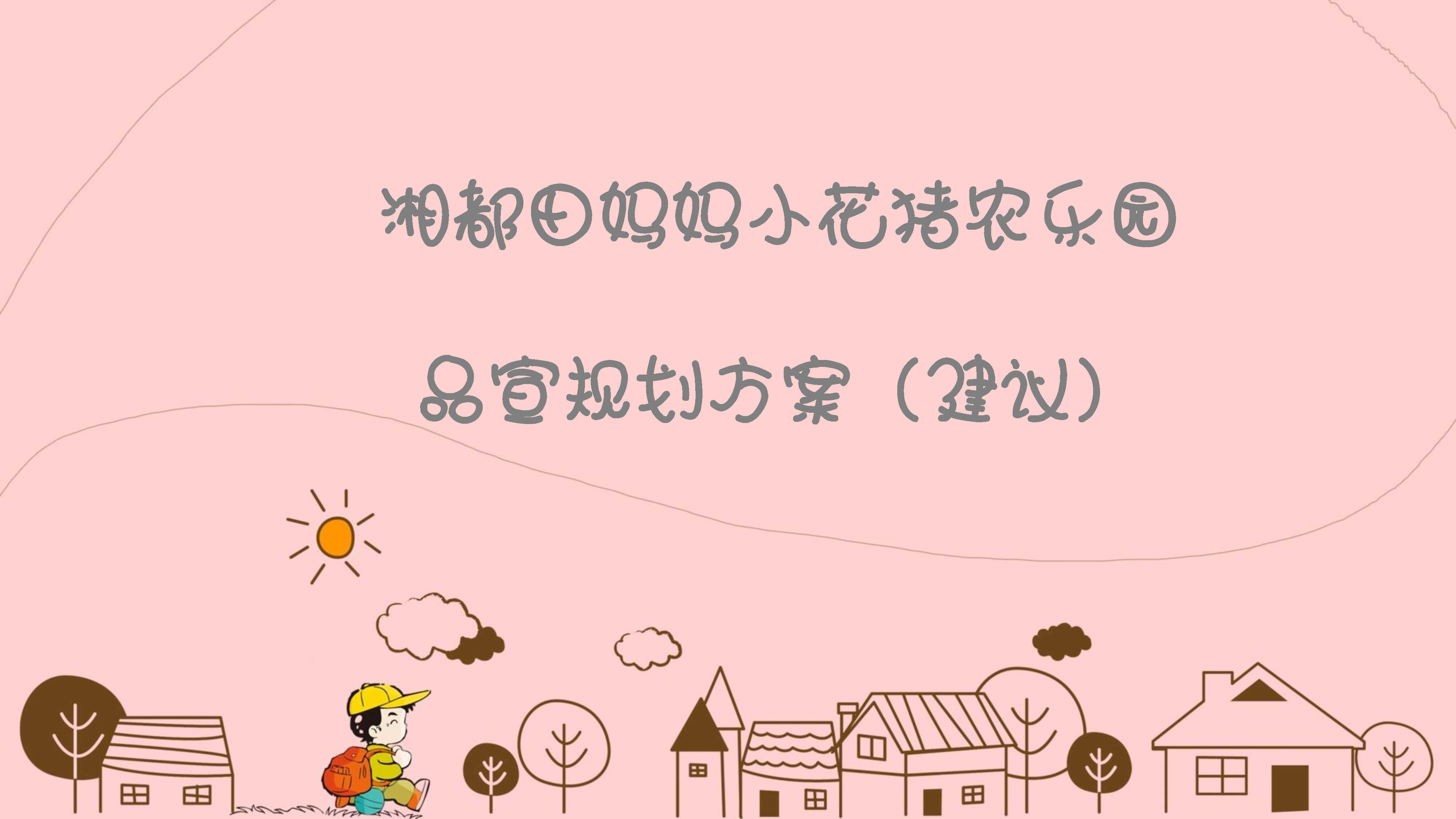 湘都田妈妈小花猪品宣规划方案