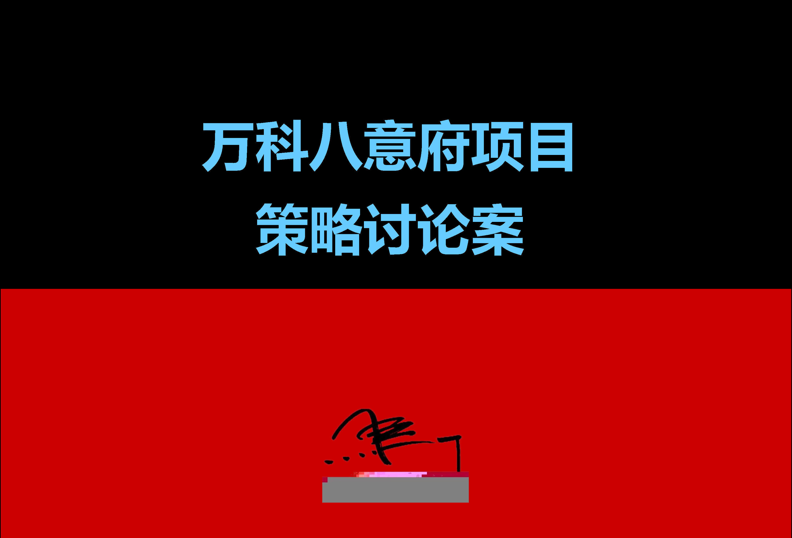 万科八意府策略讨论案