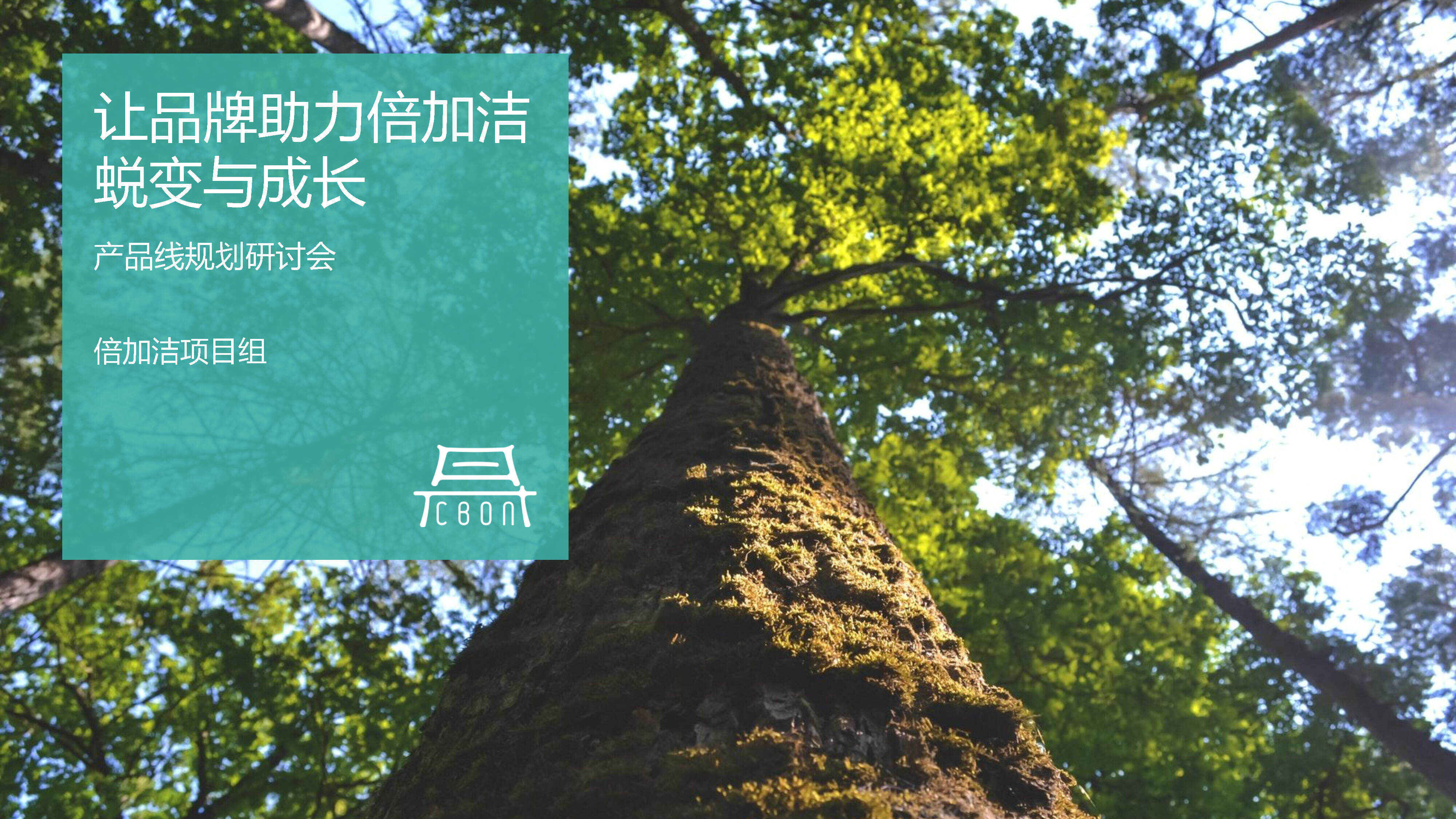 倍加洁牙膏产品线构筑方案