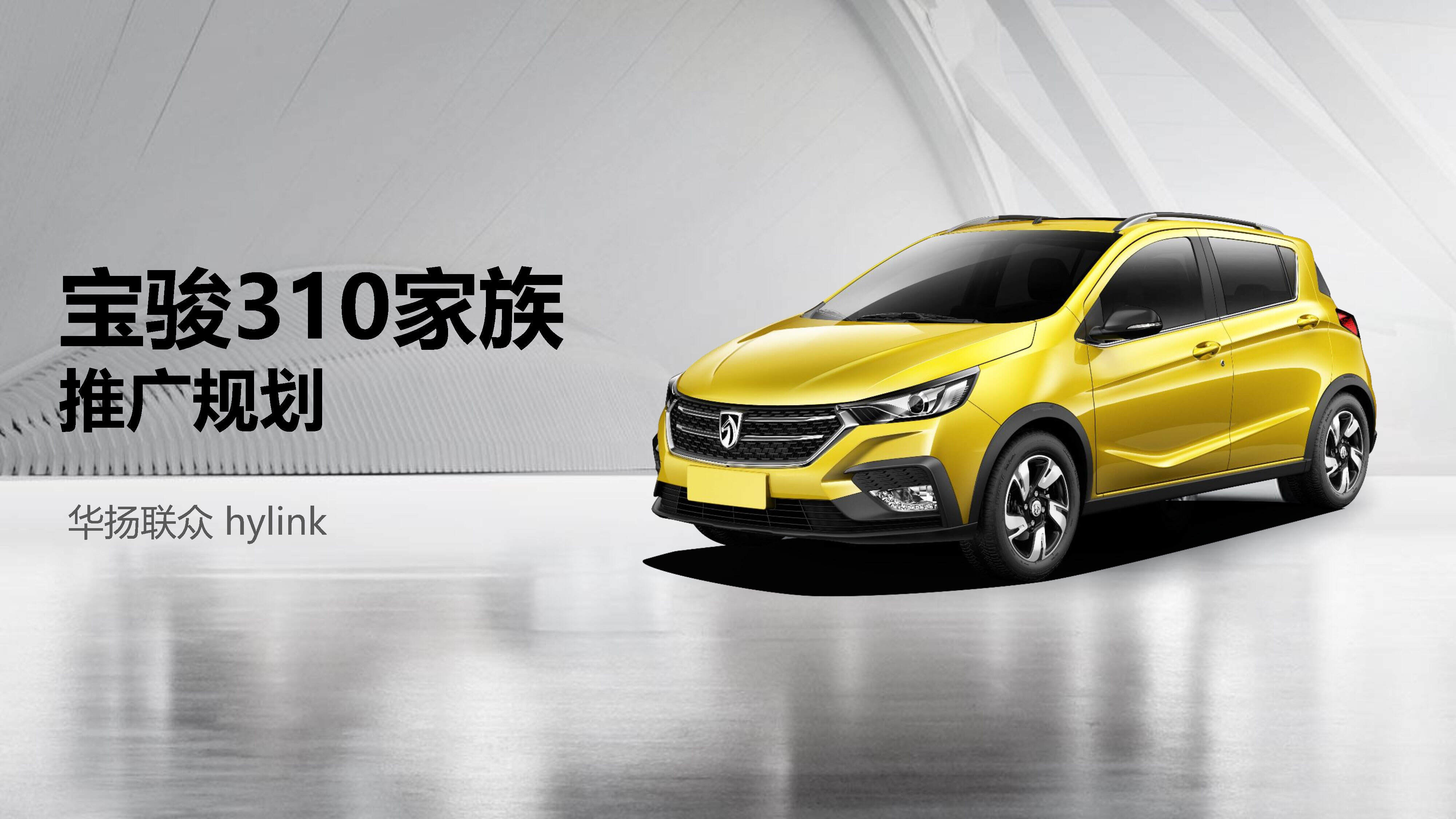 宝骏310全车系方案