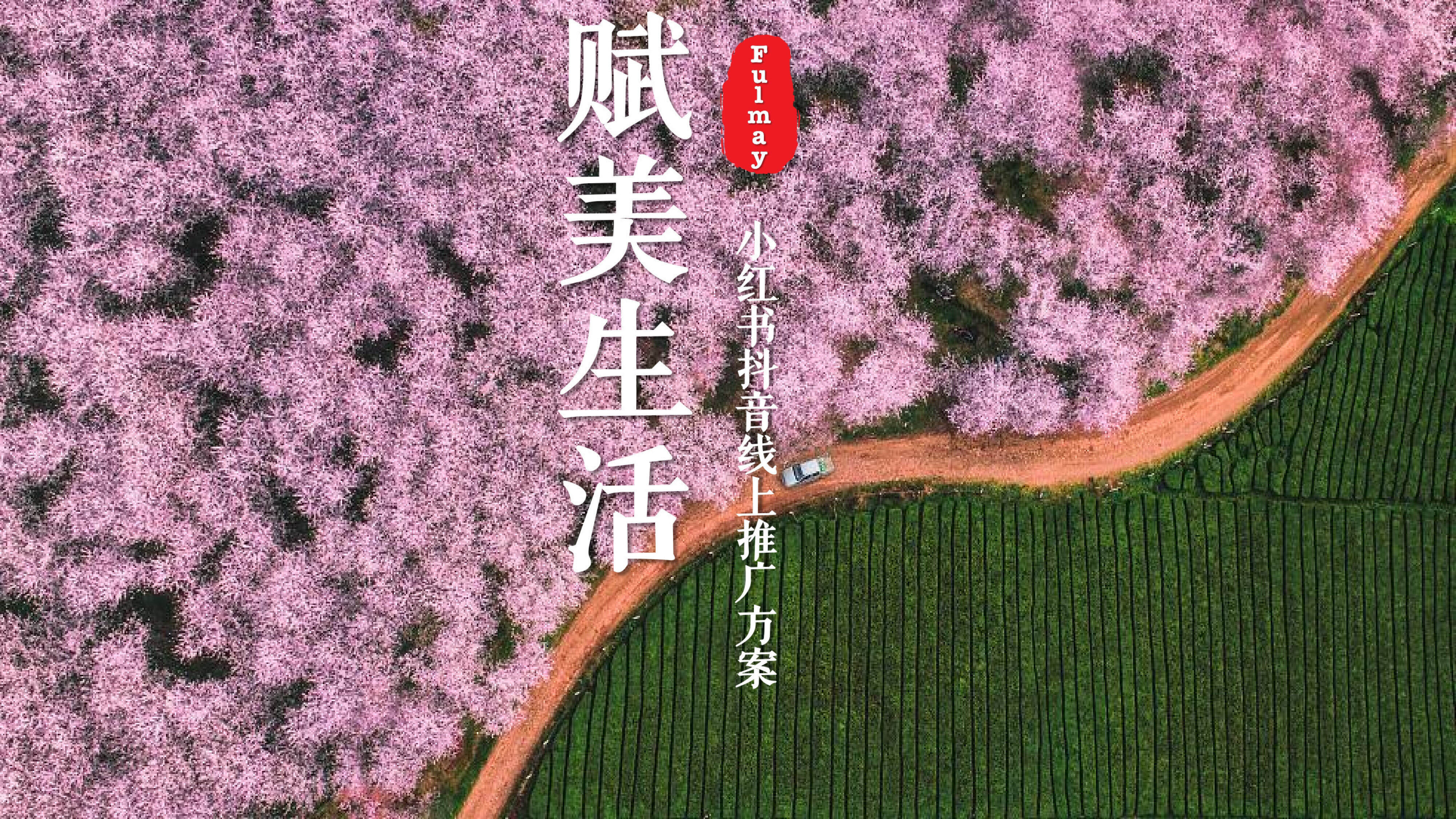 赋美生活花卉门店小红书抖音线上传播方案