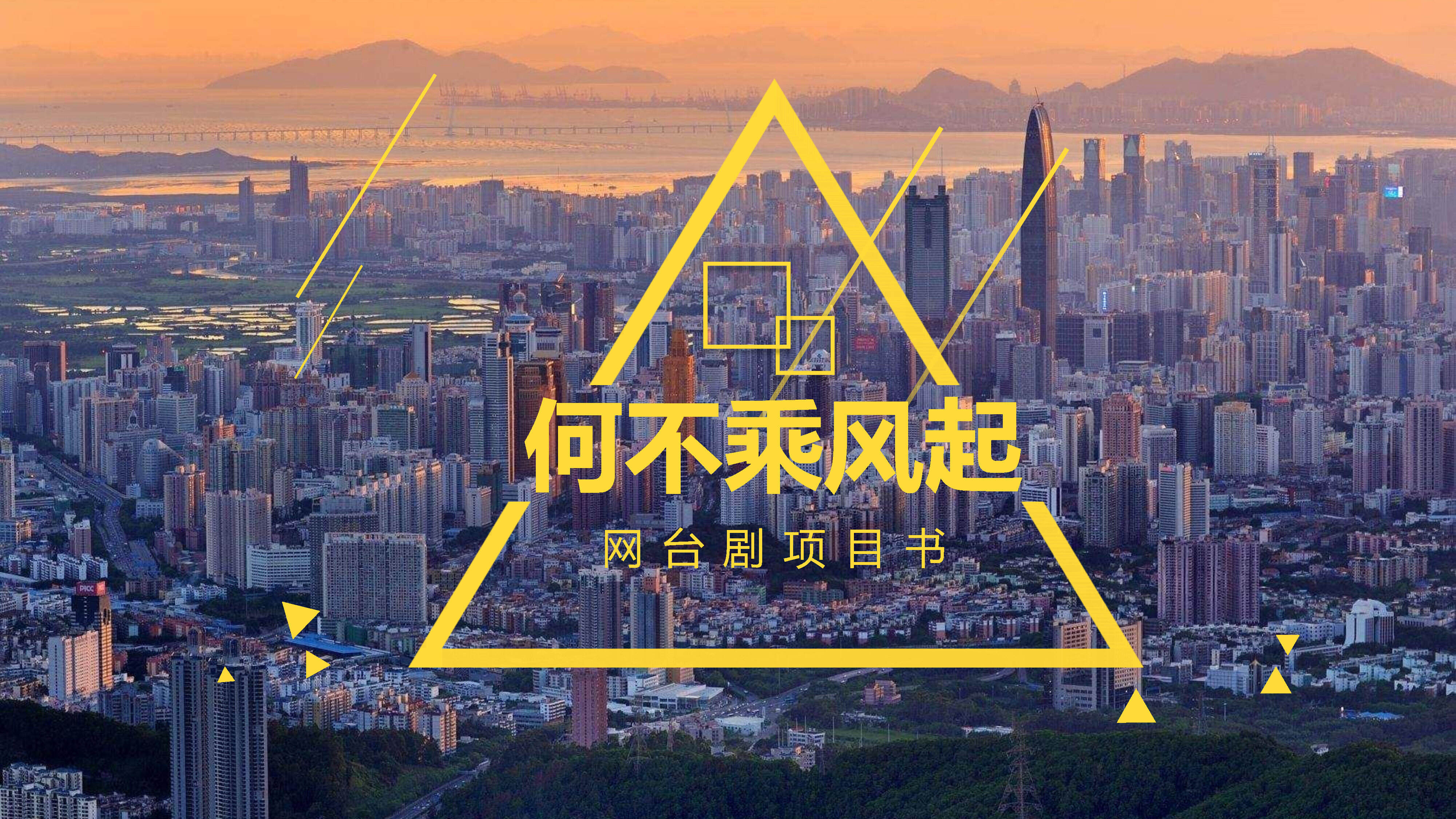 《何不乘风起》项目书