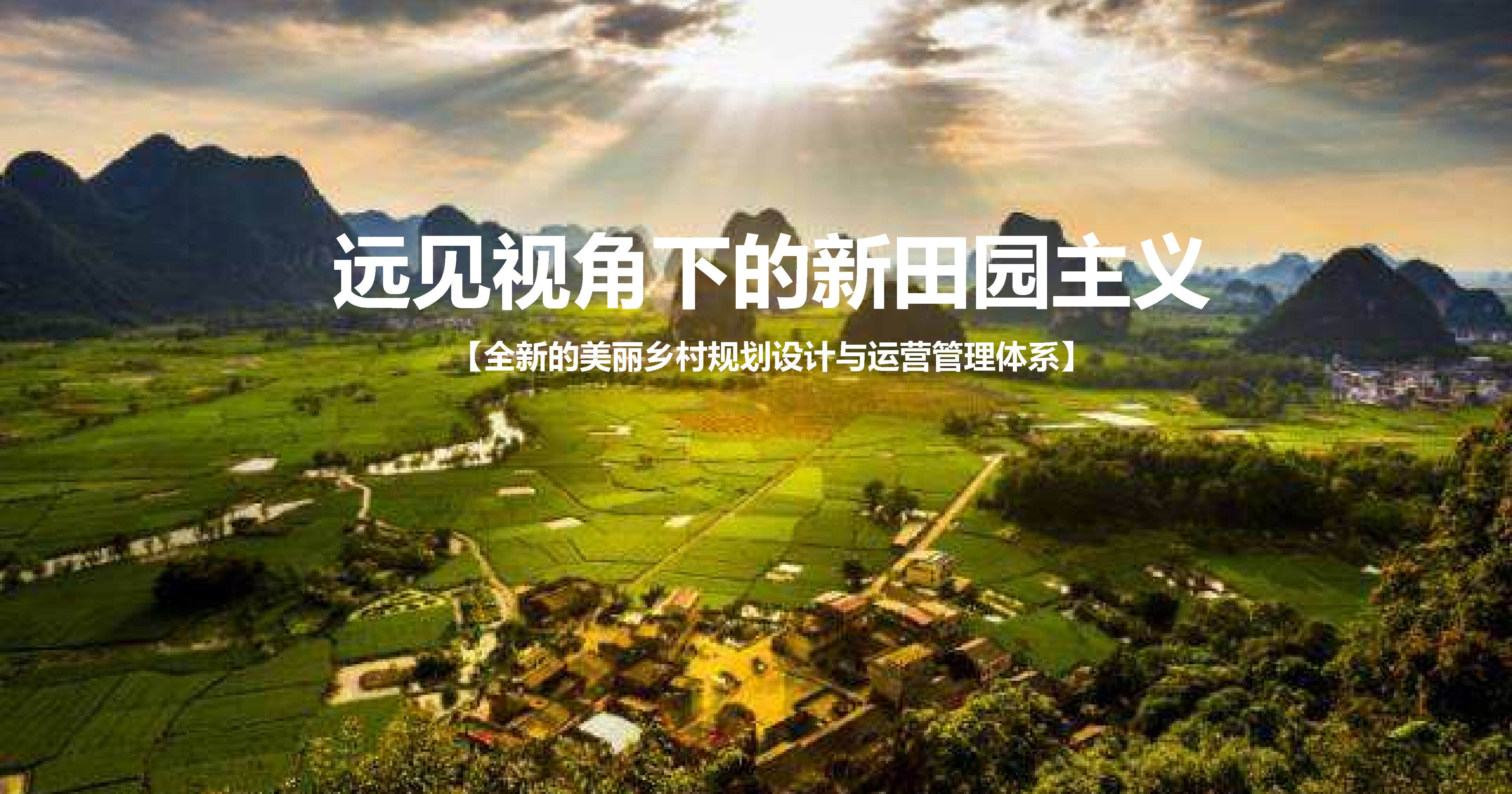 远见视角下的新田园主义