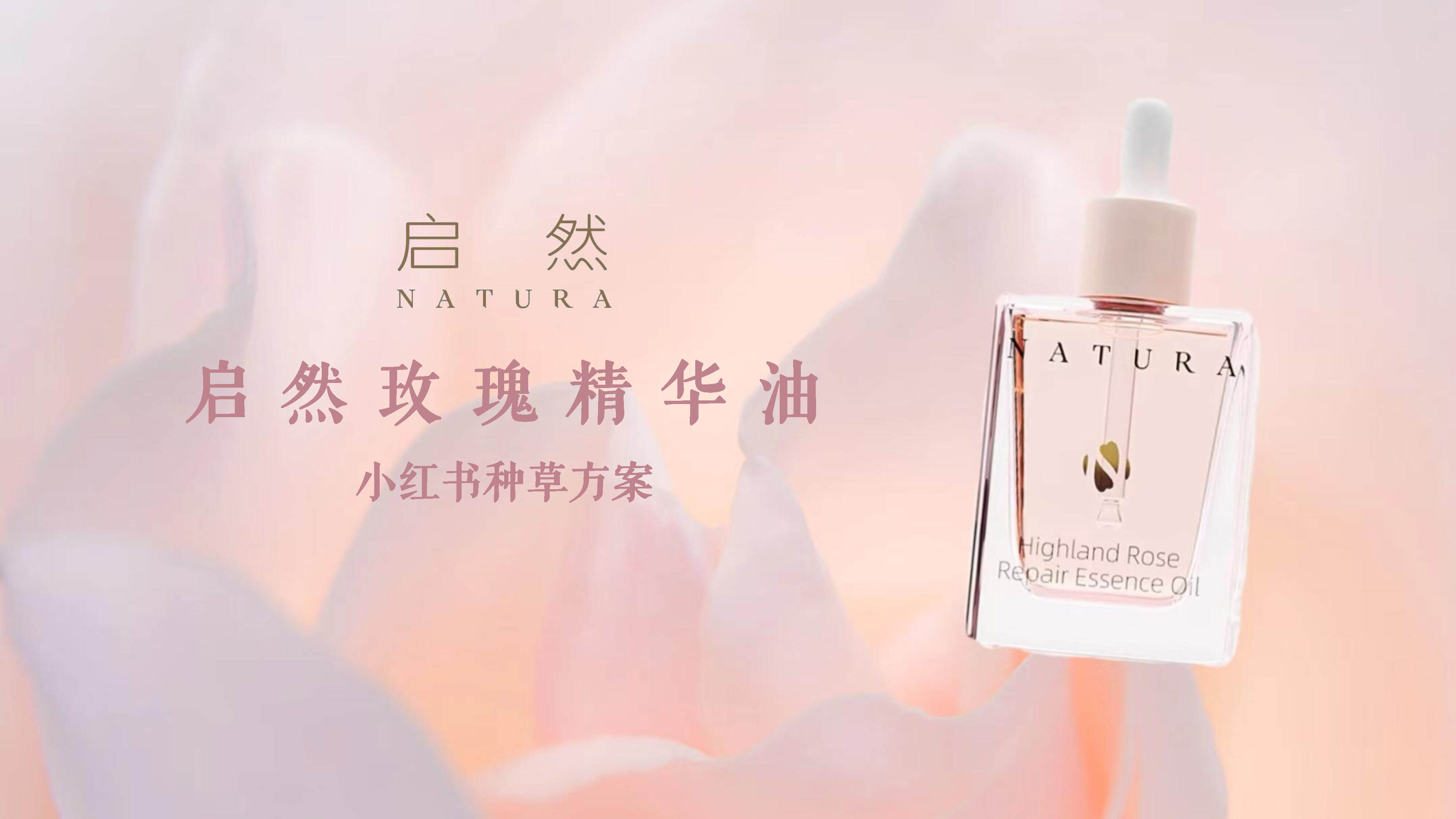 2021启然玫瑰精华油小红书种草方案