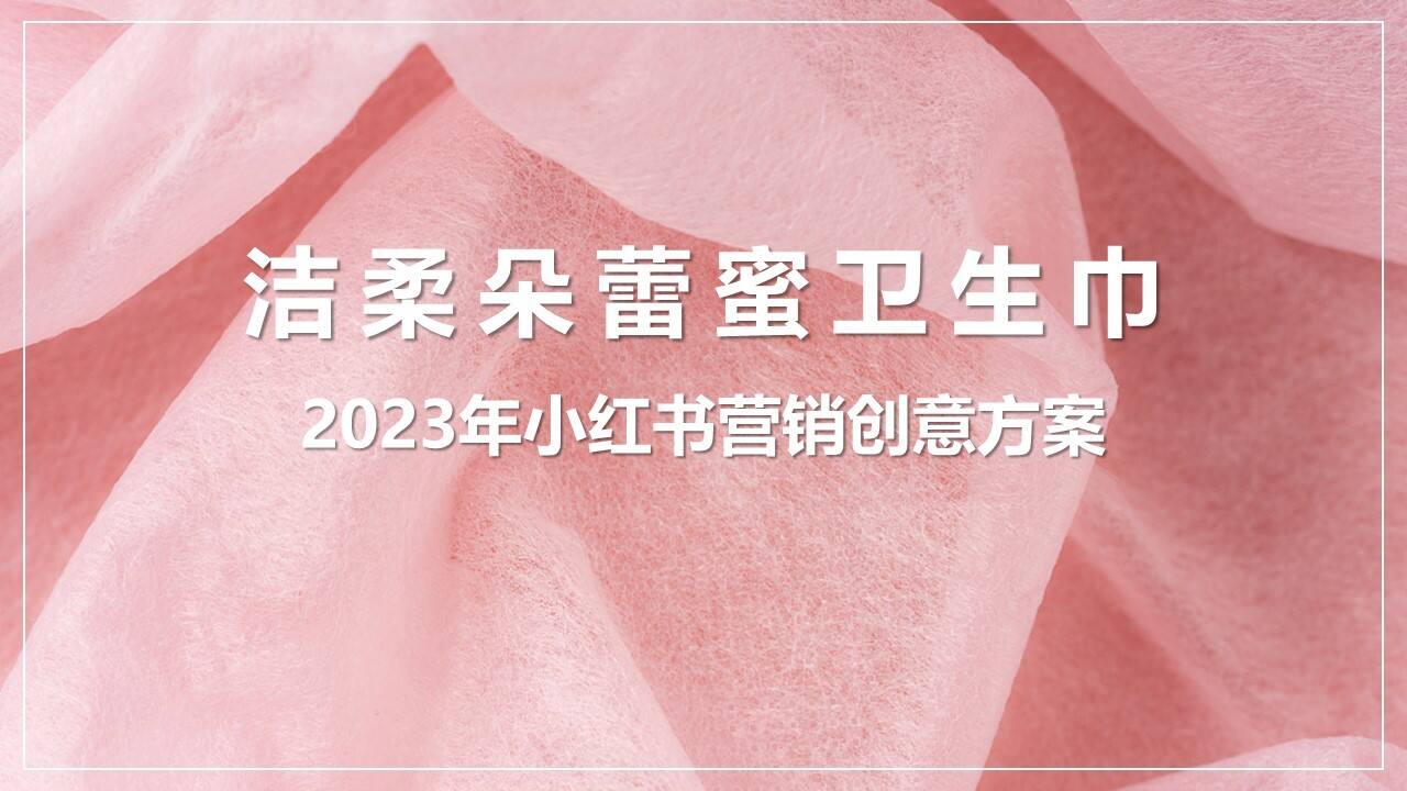 2023朵蕾蜜卫生巾小红书营销创意方案