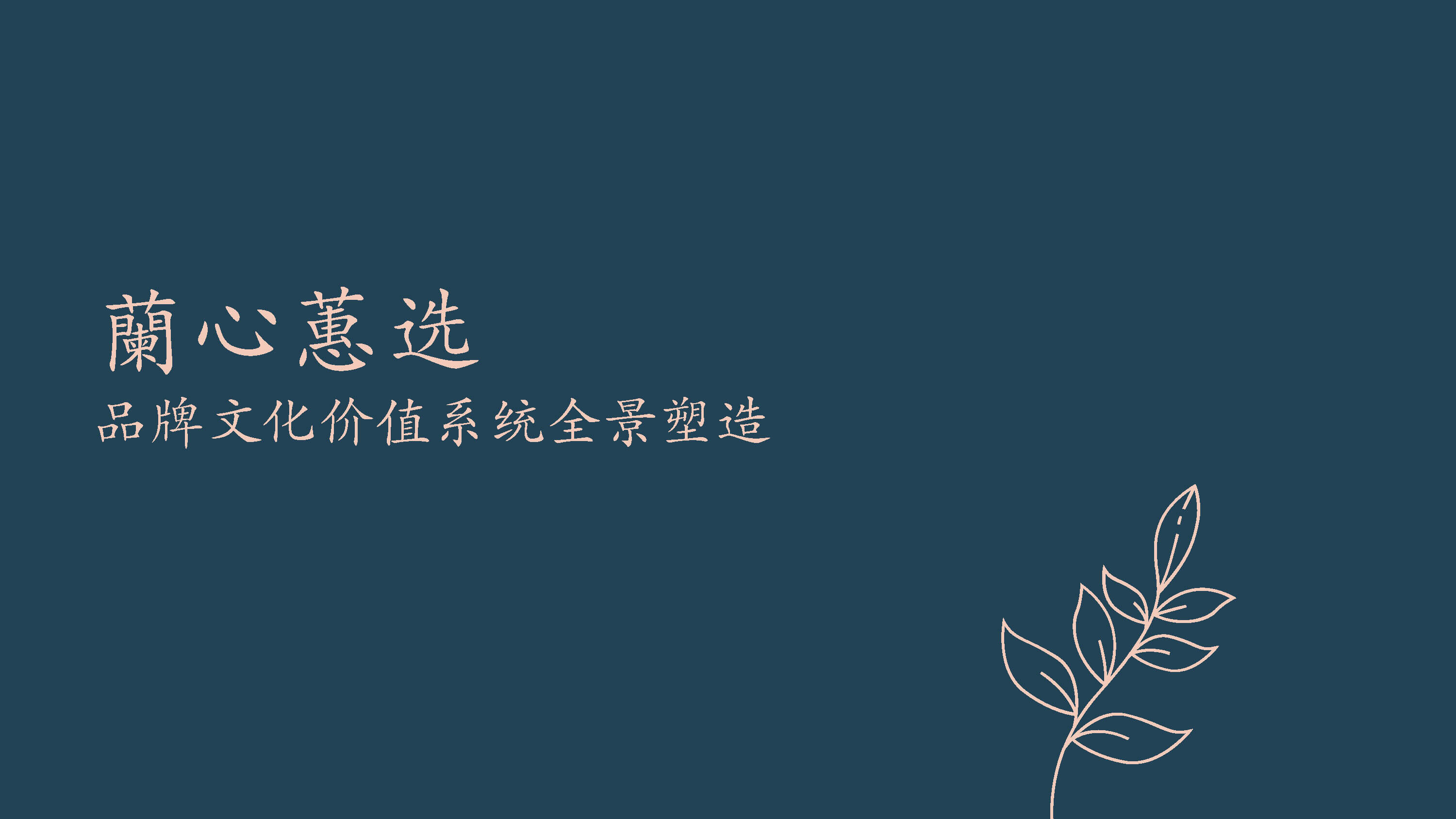 兰心蕙选品牌文化价值系统全景塑造方案