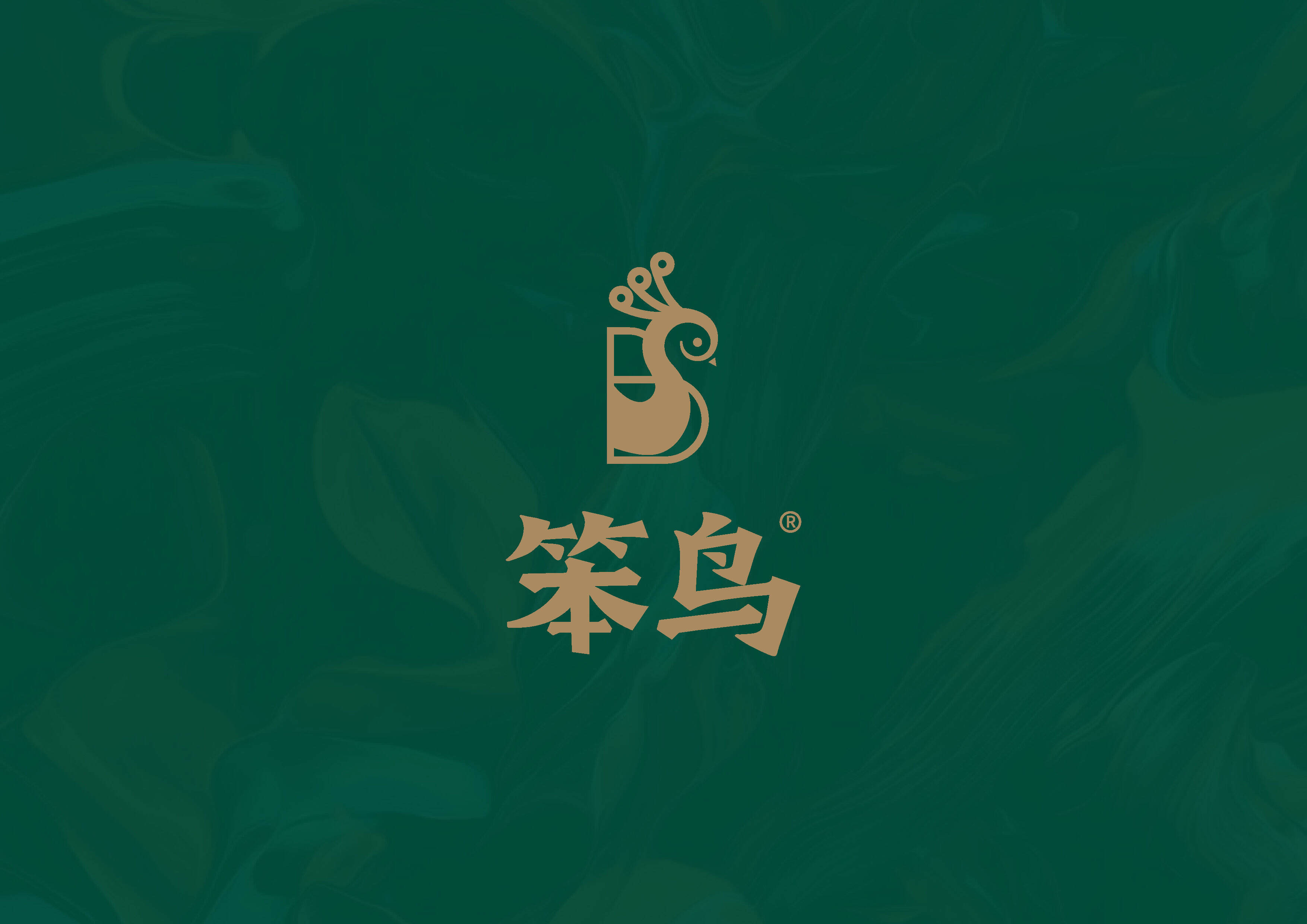 2021笨鸟鲍鱼鸡煲餐饮品牌手册