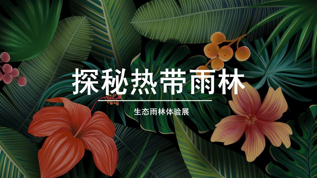 探秘热带雨林展方案
