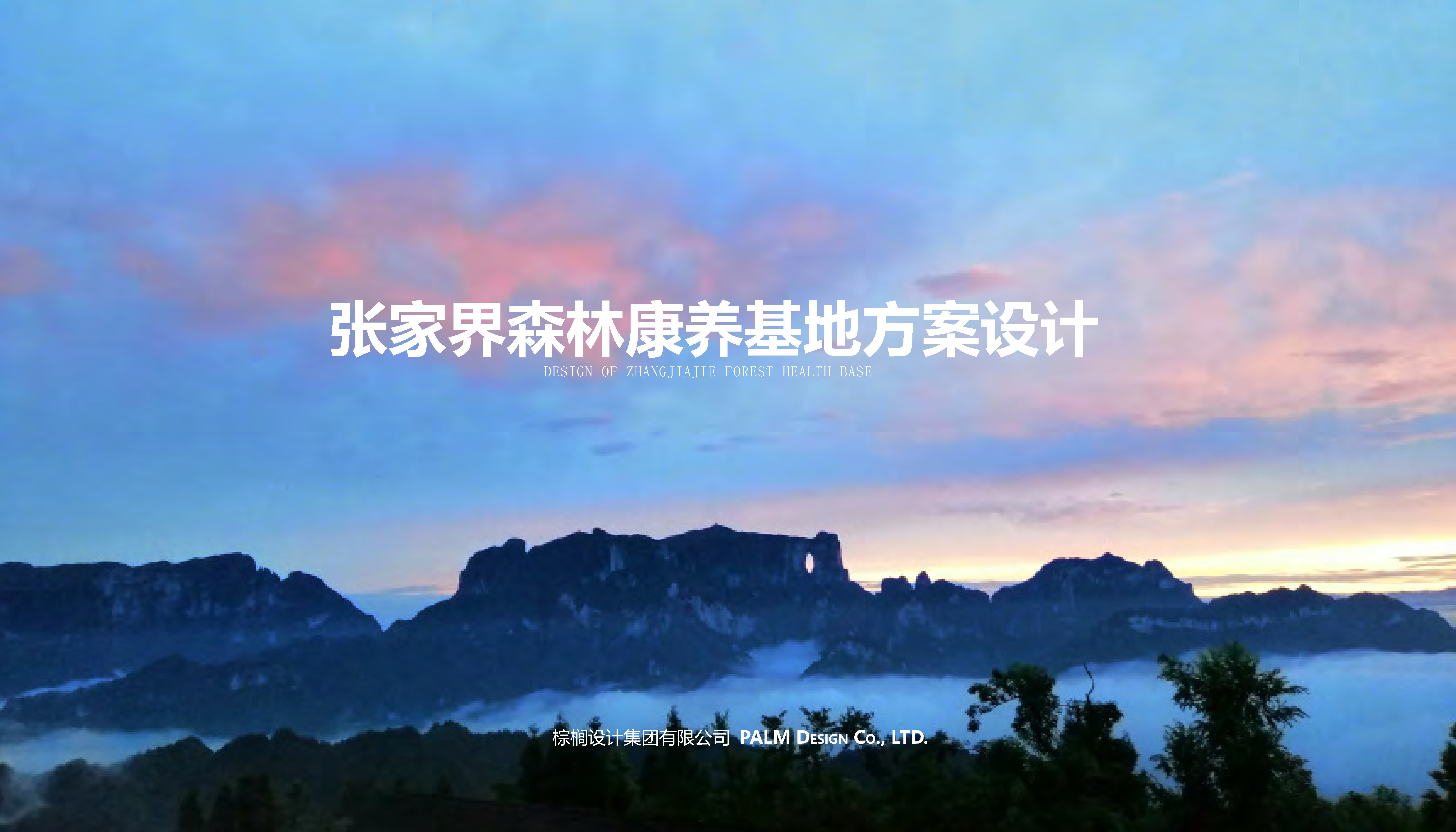 2023张家界森林康养基地设计方案
