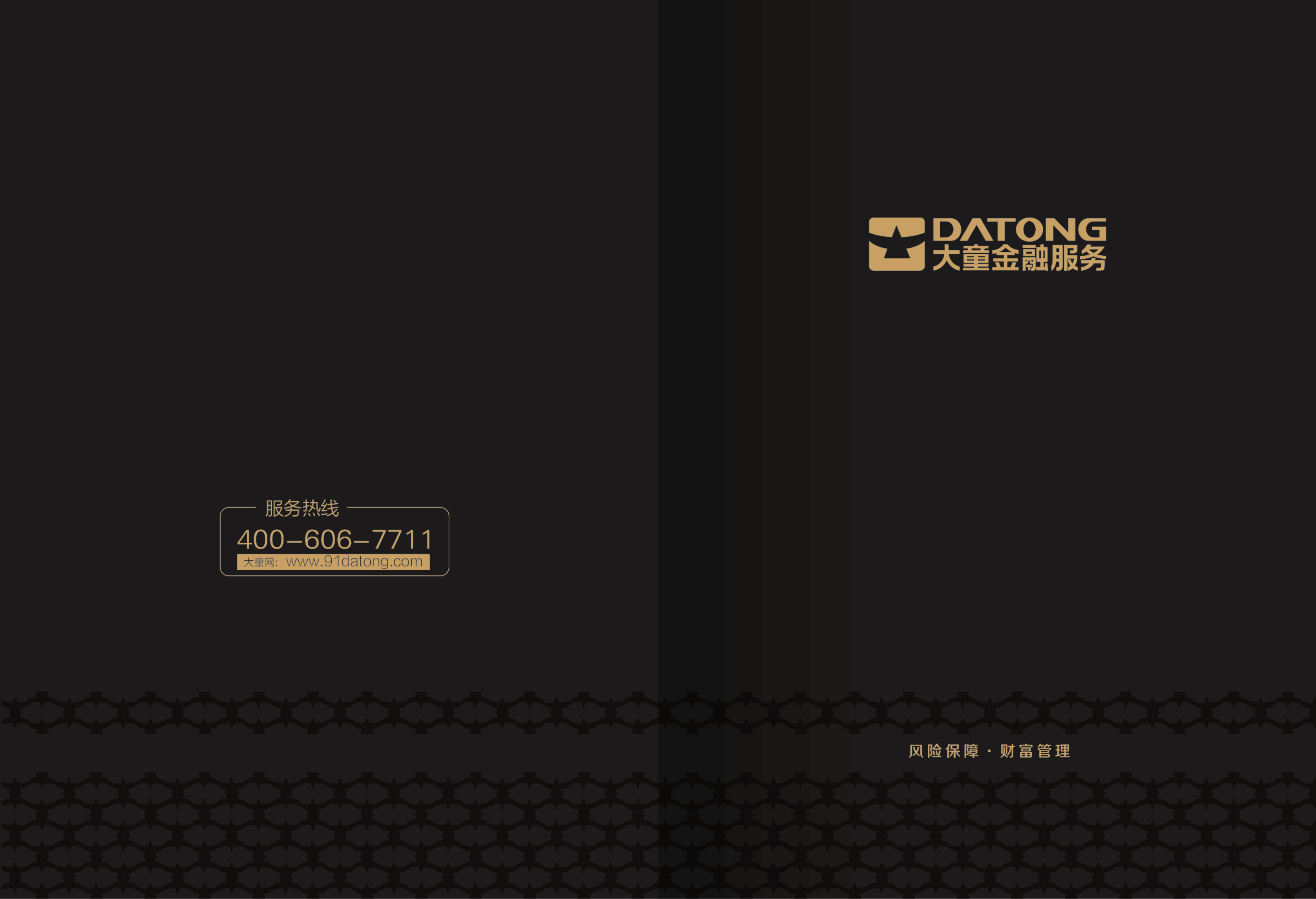 大童金融企业画册